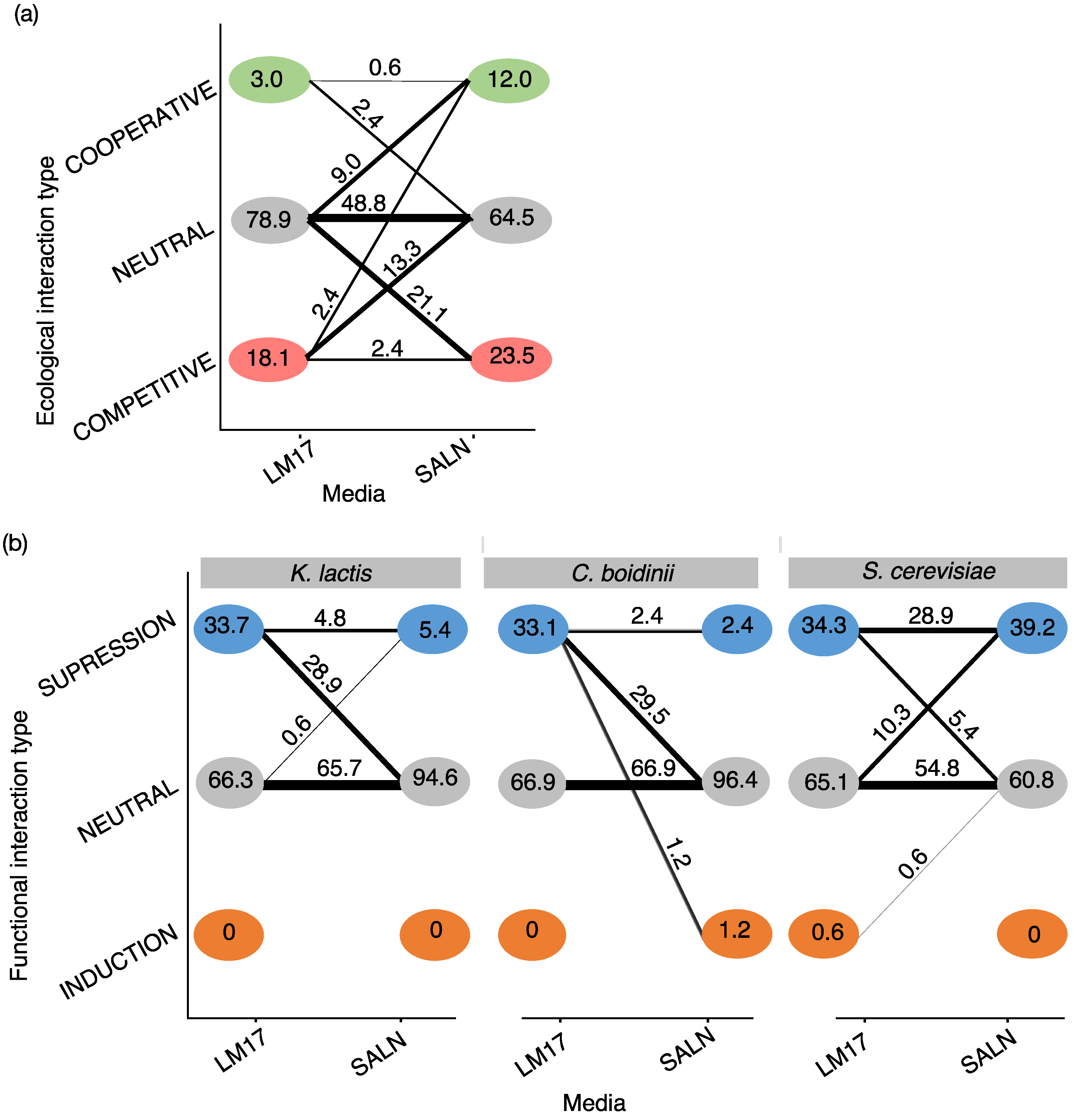 Microorganisms 12 01396 g006