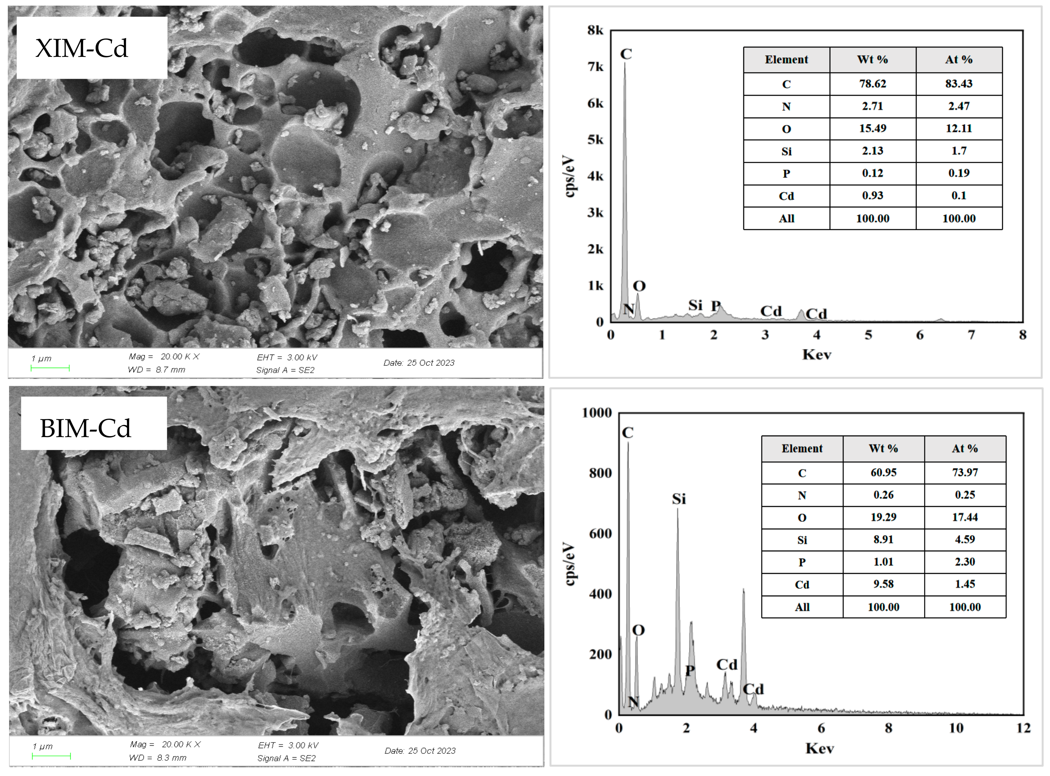 Microorganisms 12 01406 g008