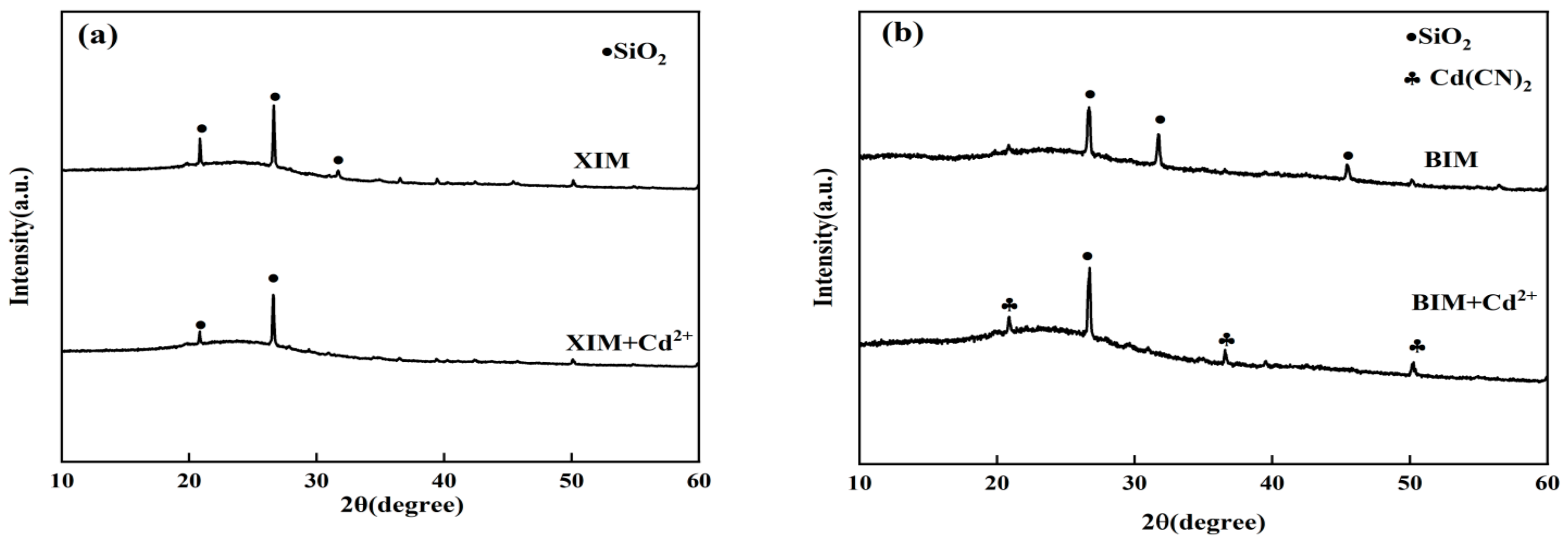 Microorganisms 12 01406 g010