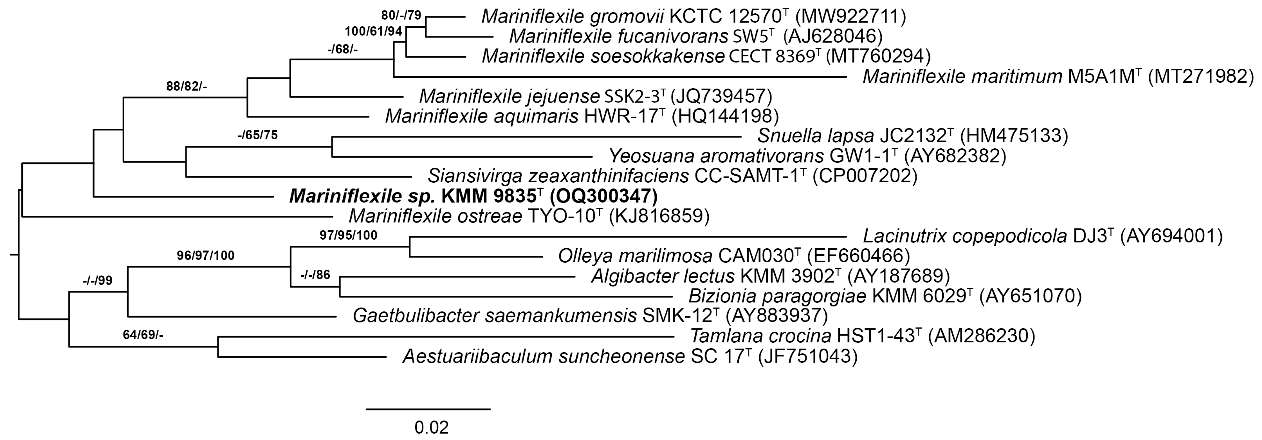Microorganisms 12 01413 g001