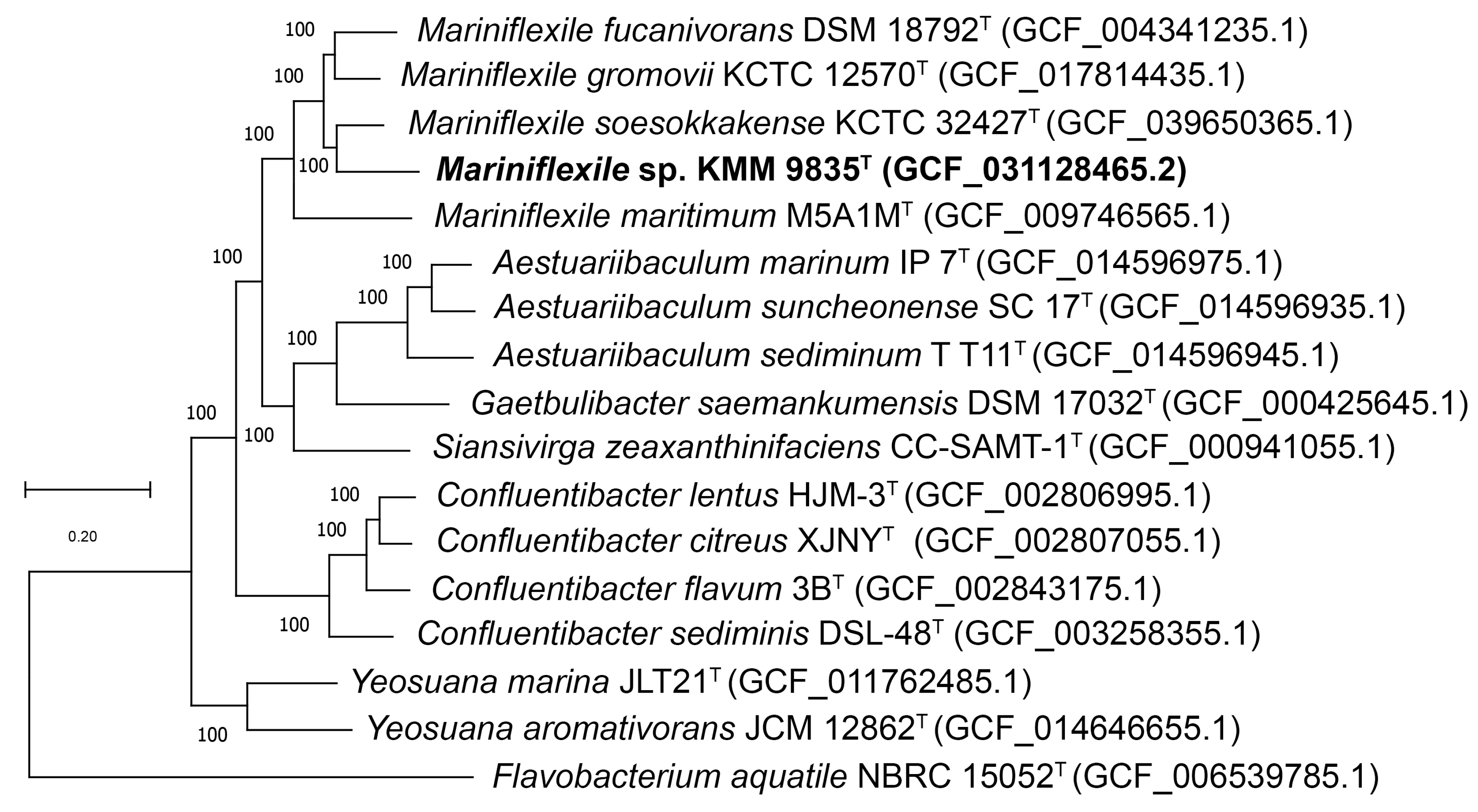 Microorganisms 12 01413 g002