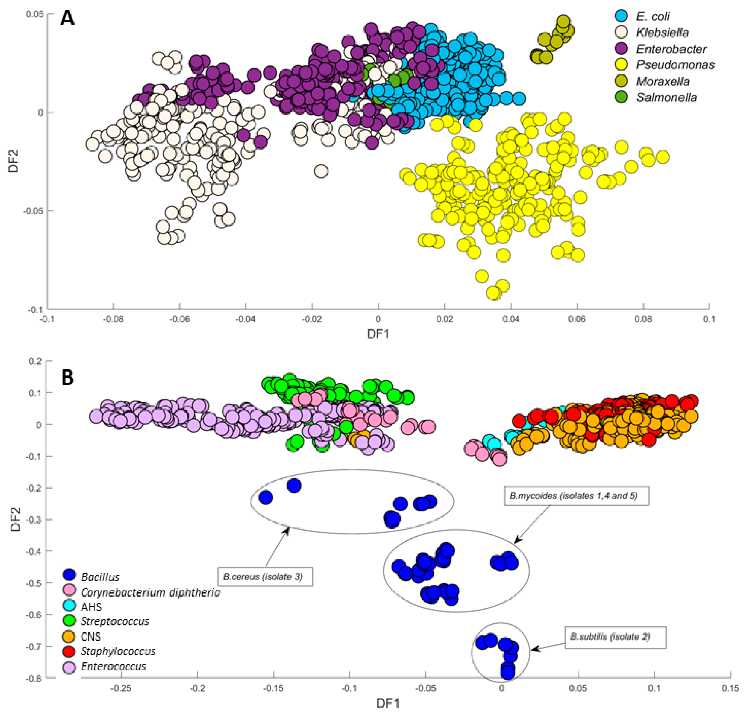 Microorganisms 12 01415 g005