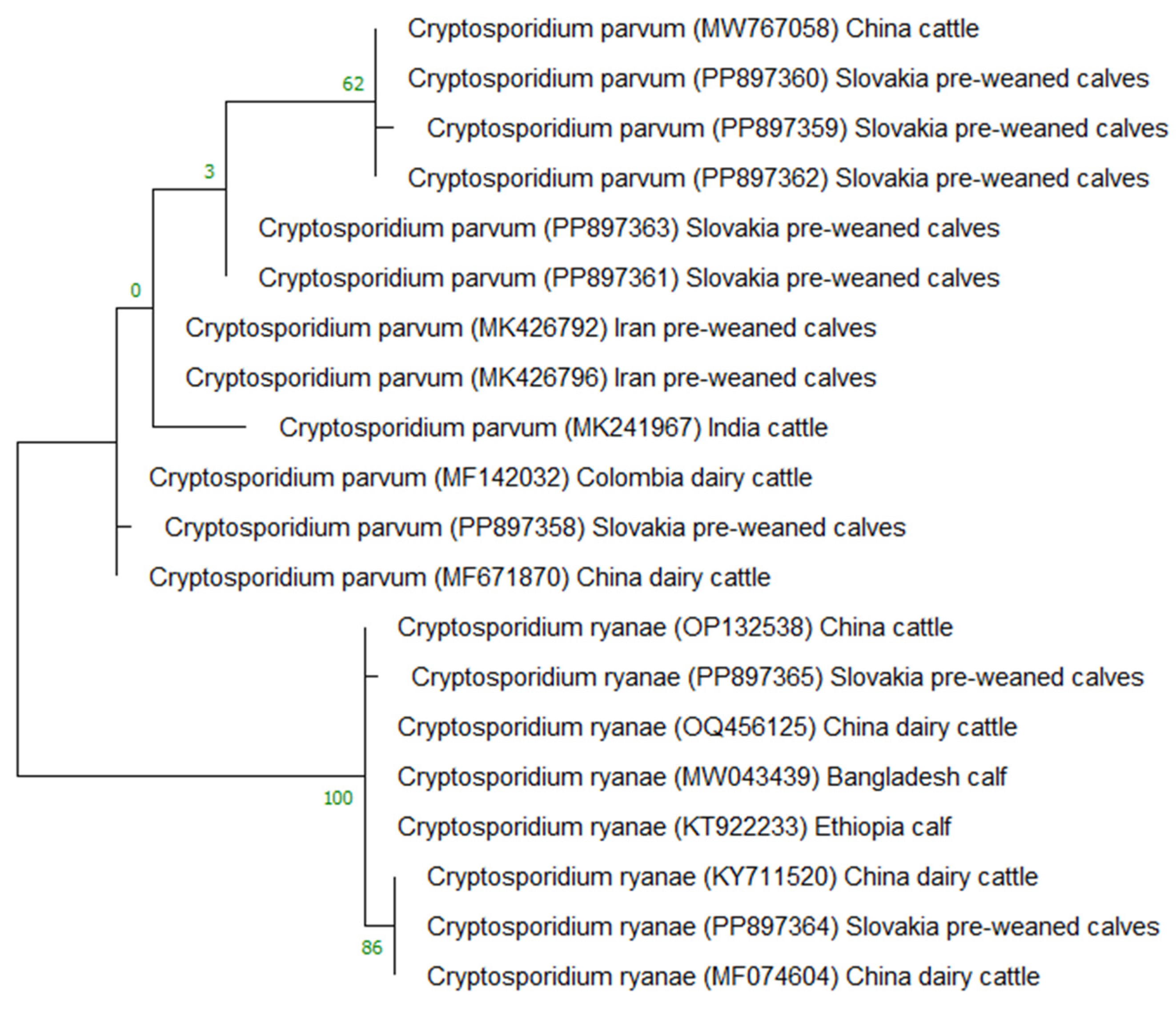 Microorganisms 12 01416 g002