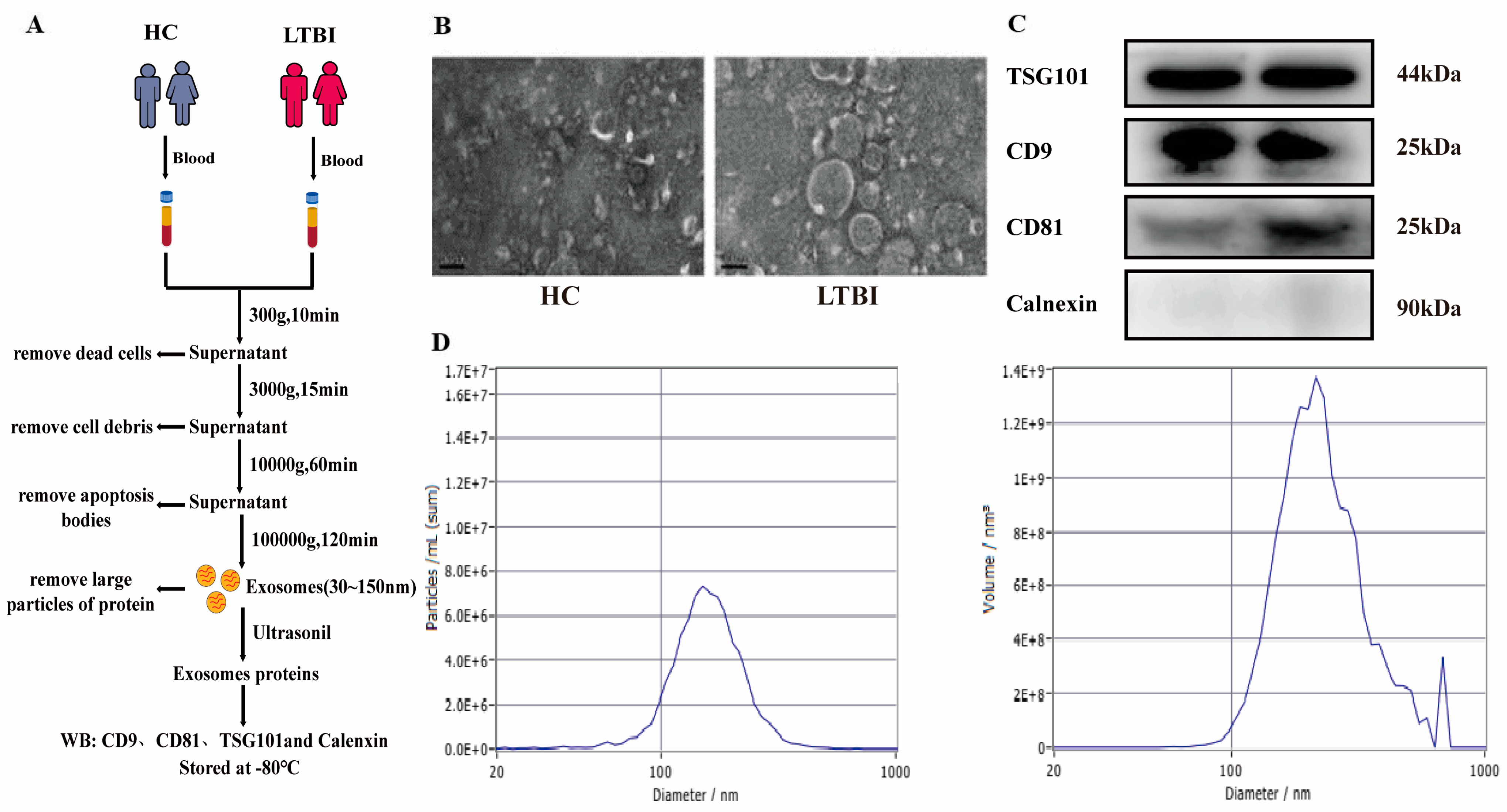 Microorganisms 12 01417 g001