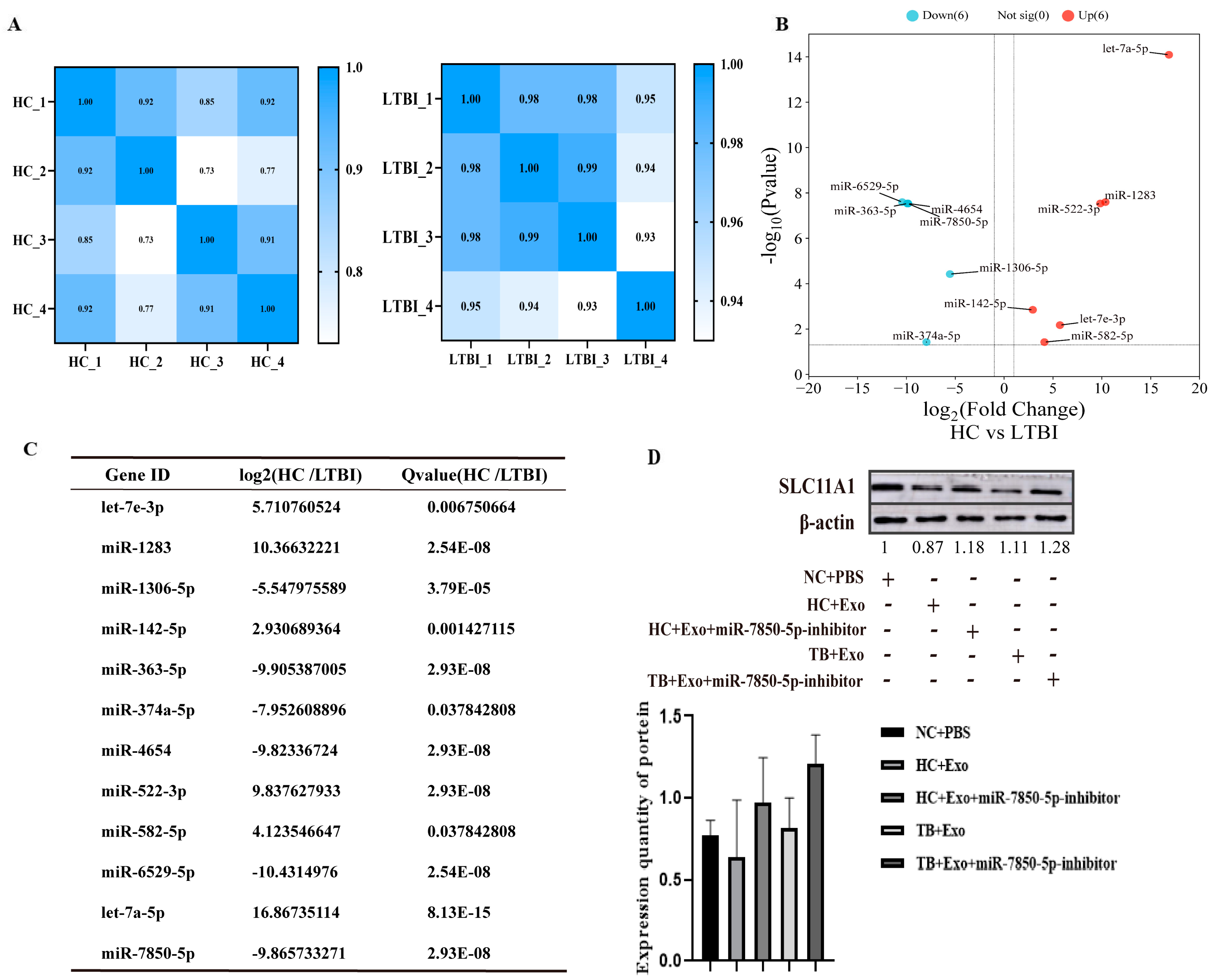 Microorganisms 12 01417 g002