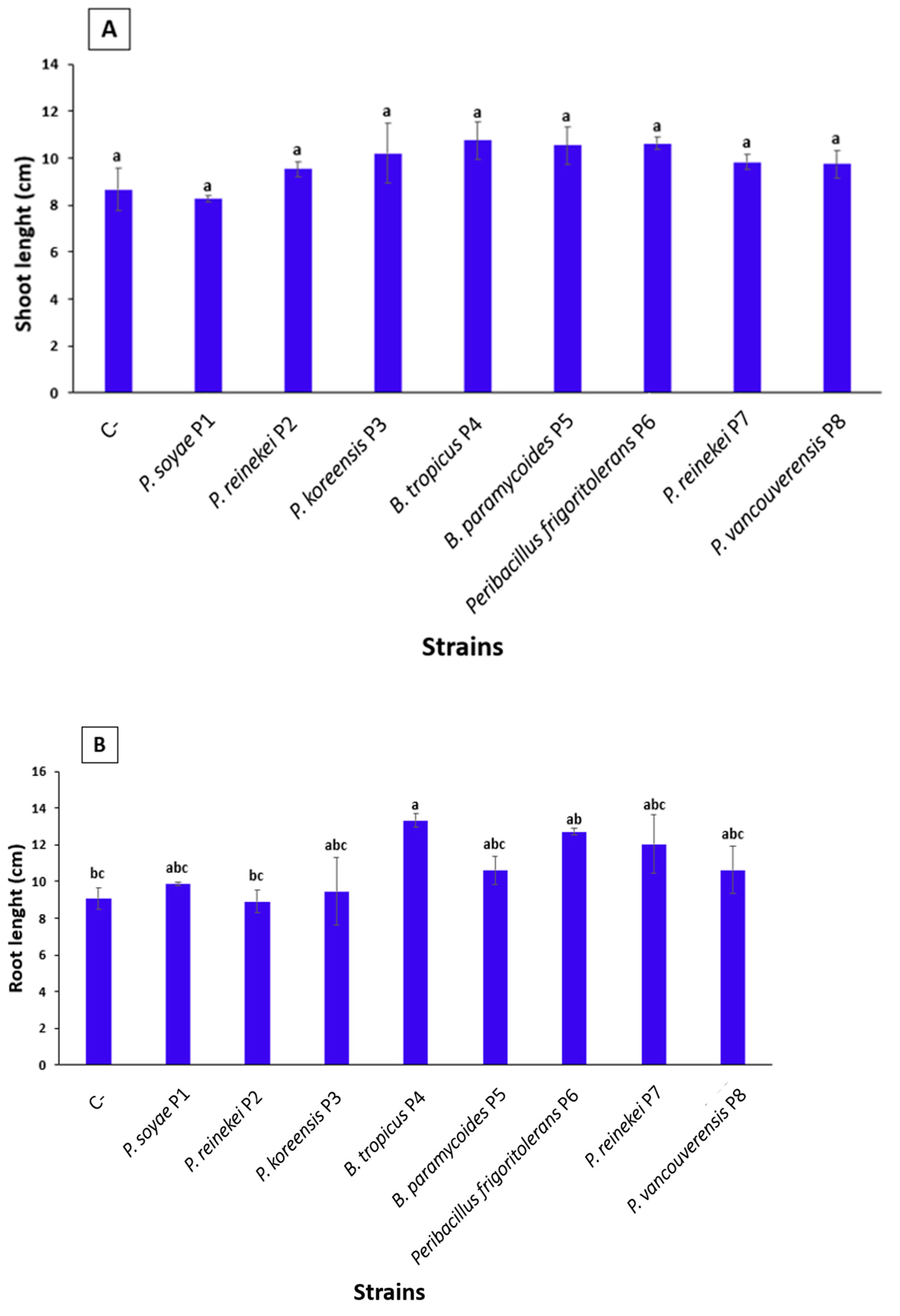 Microorganisms 12 01423 g006