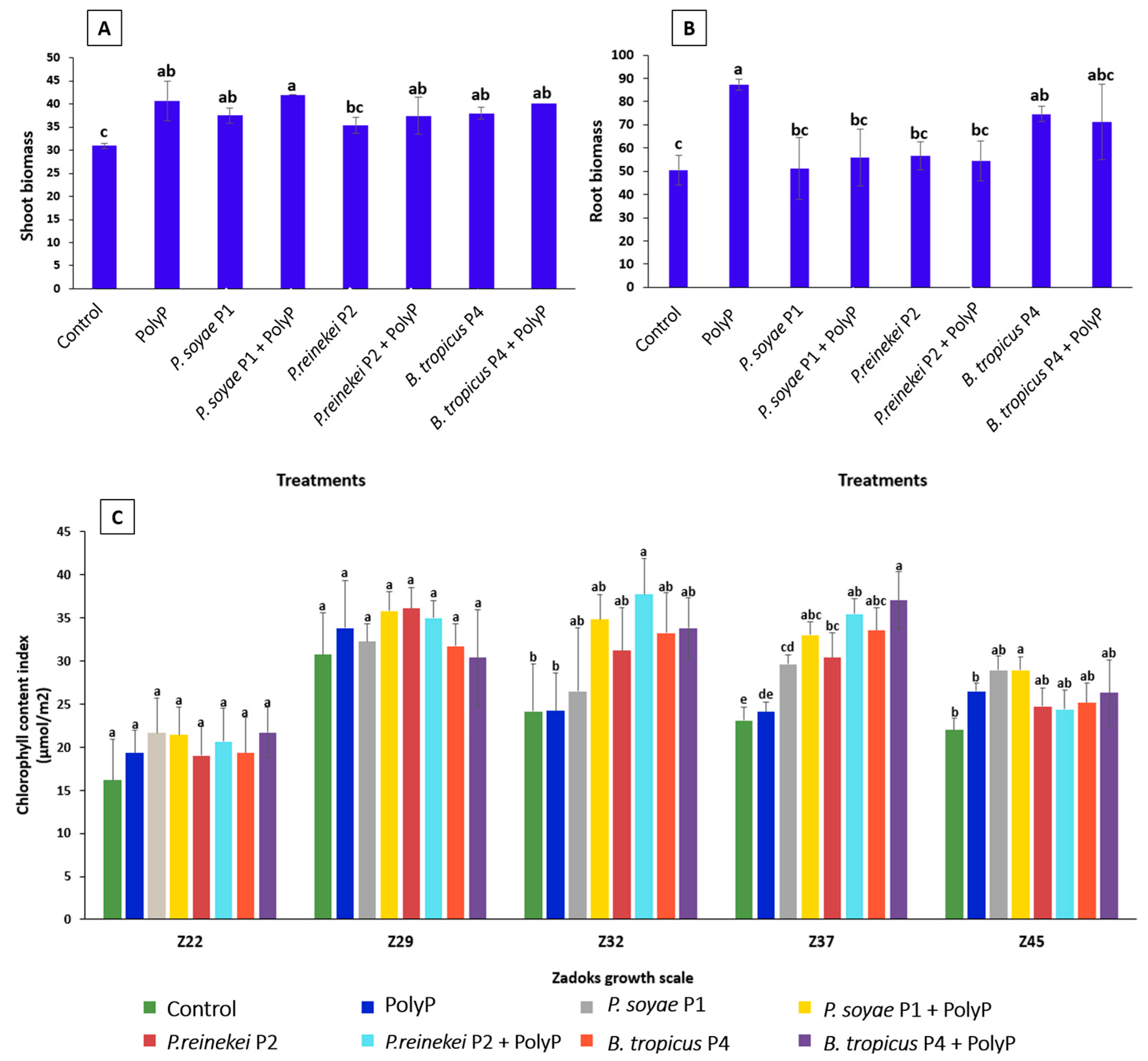 Microorganisms 12 01423 g007