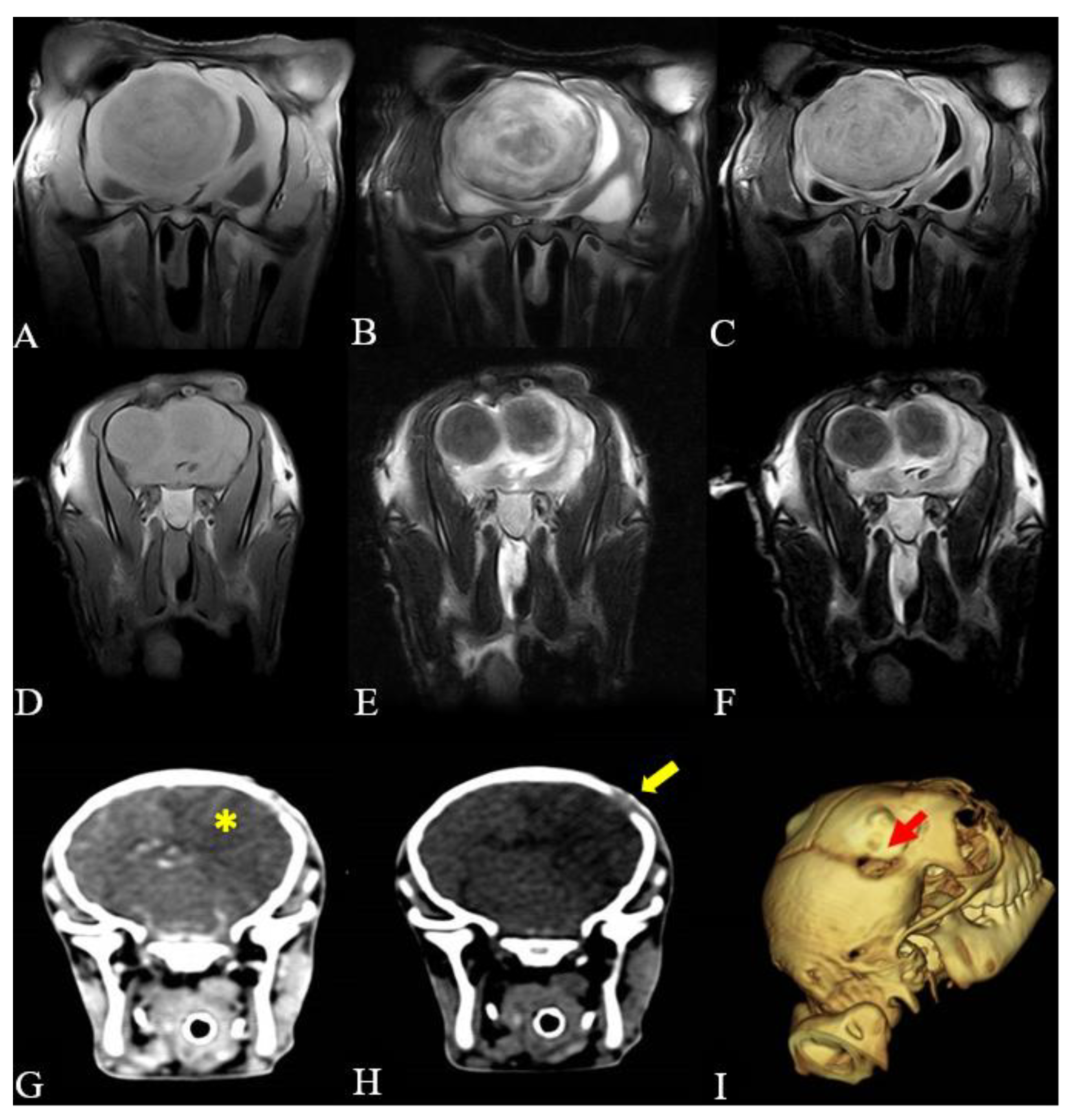 Microorganisms 12 01424 g002 Microorganisms 12 01424 g002
