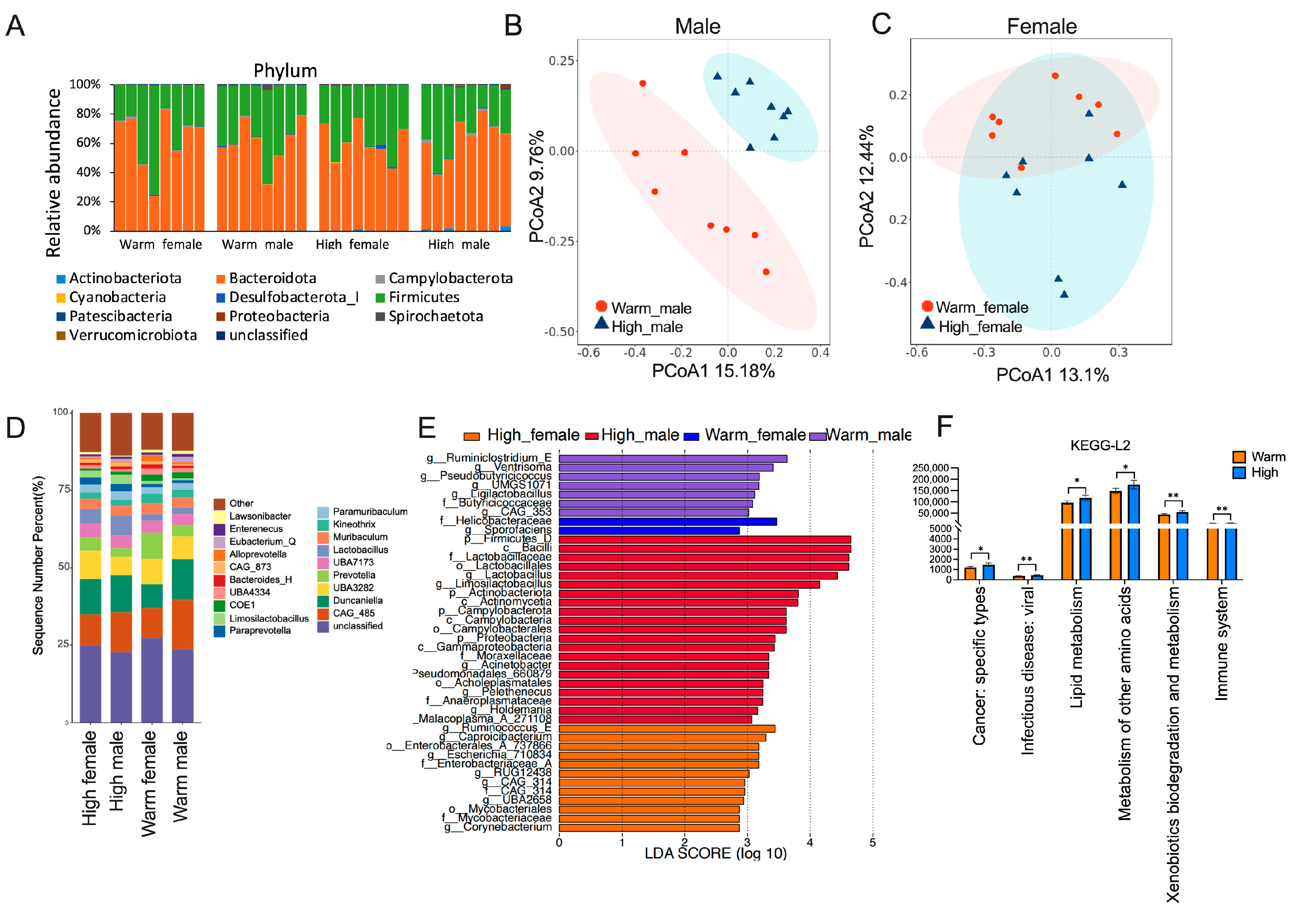 Microorganisms 12 01426 g004