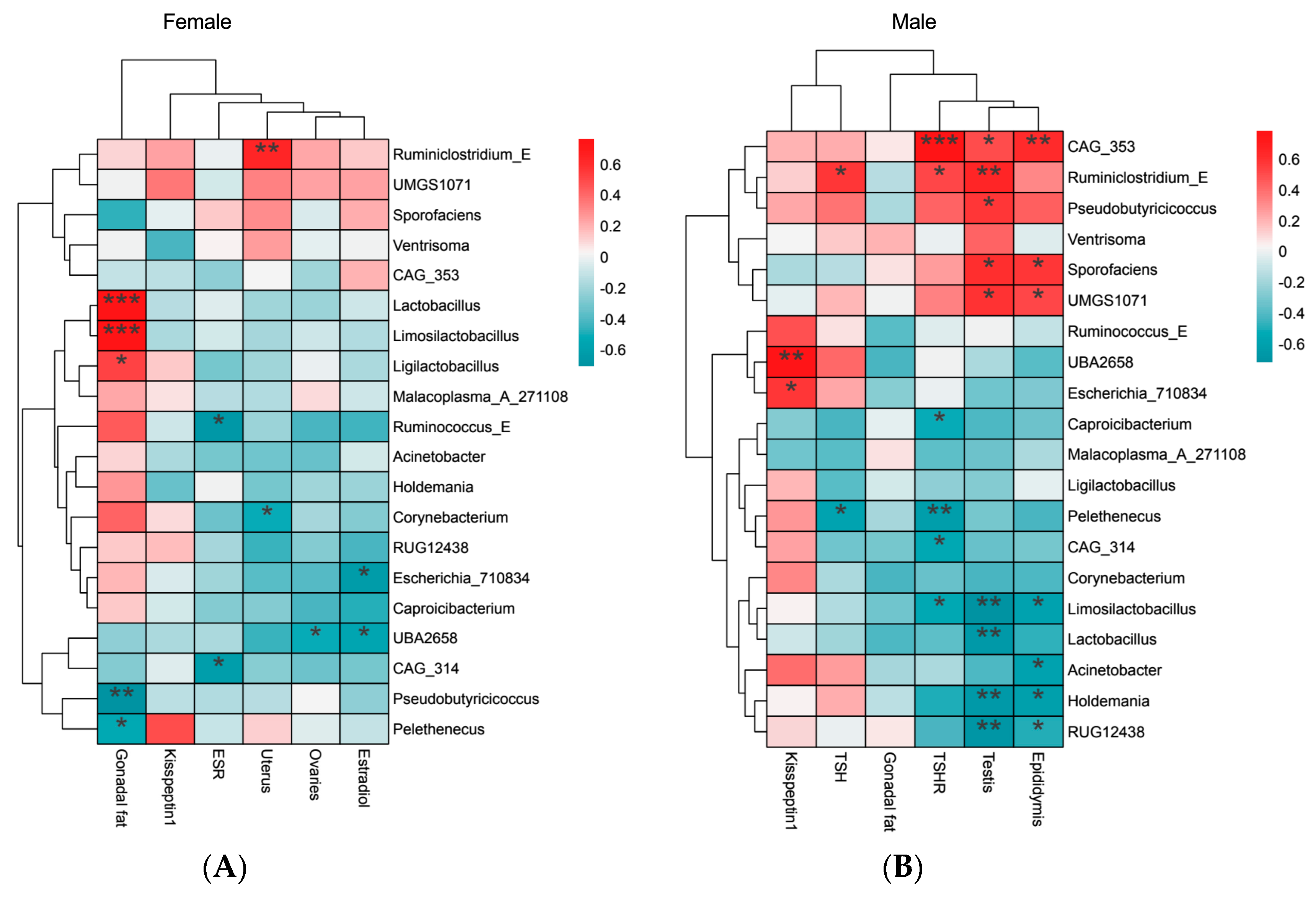 Microorganisms 12 01426 g005