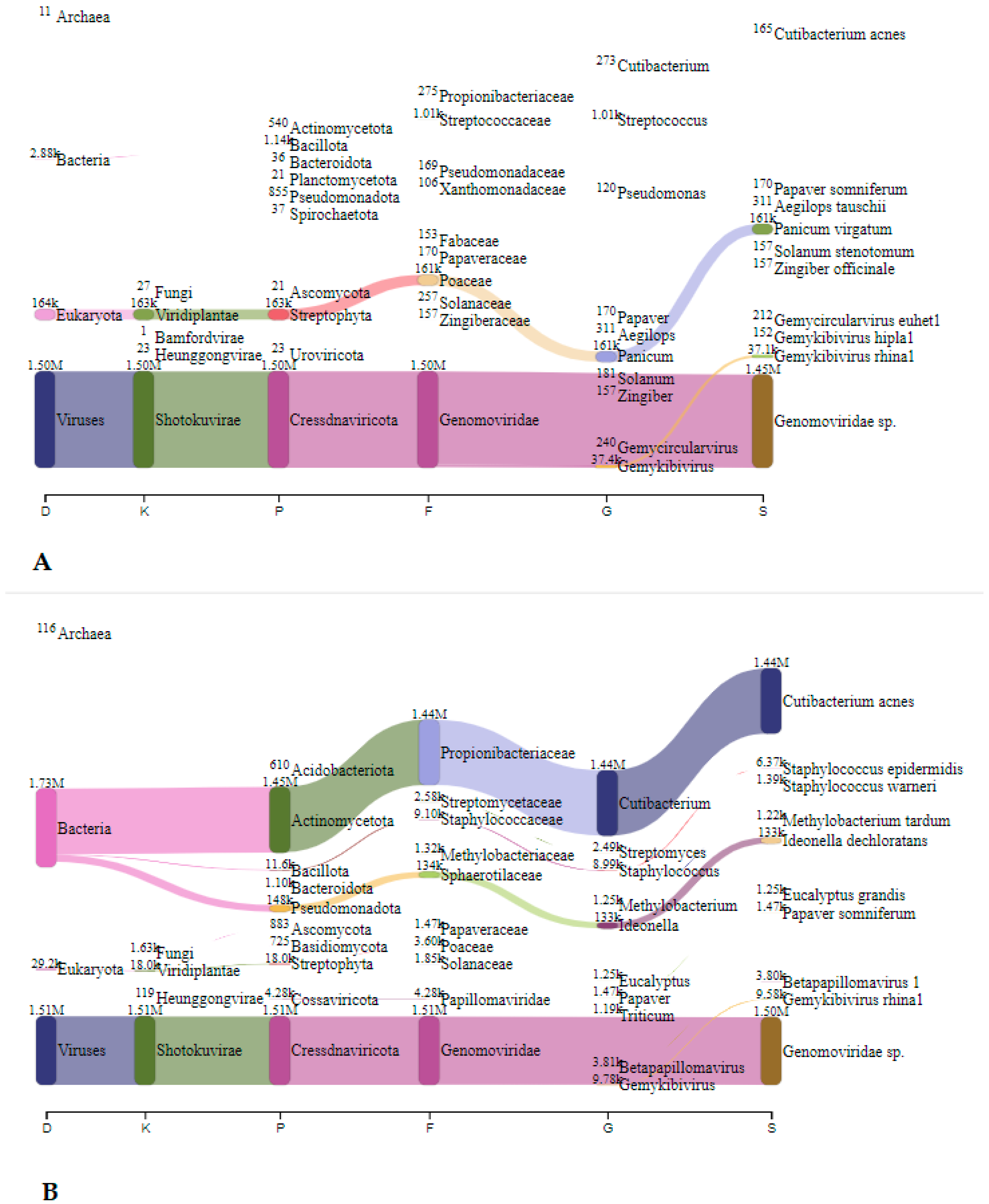 Microorganisms 12 01427 g008