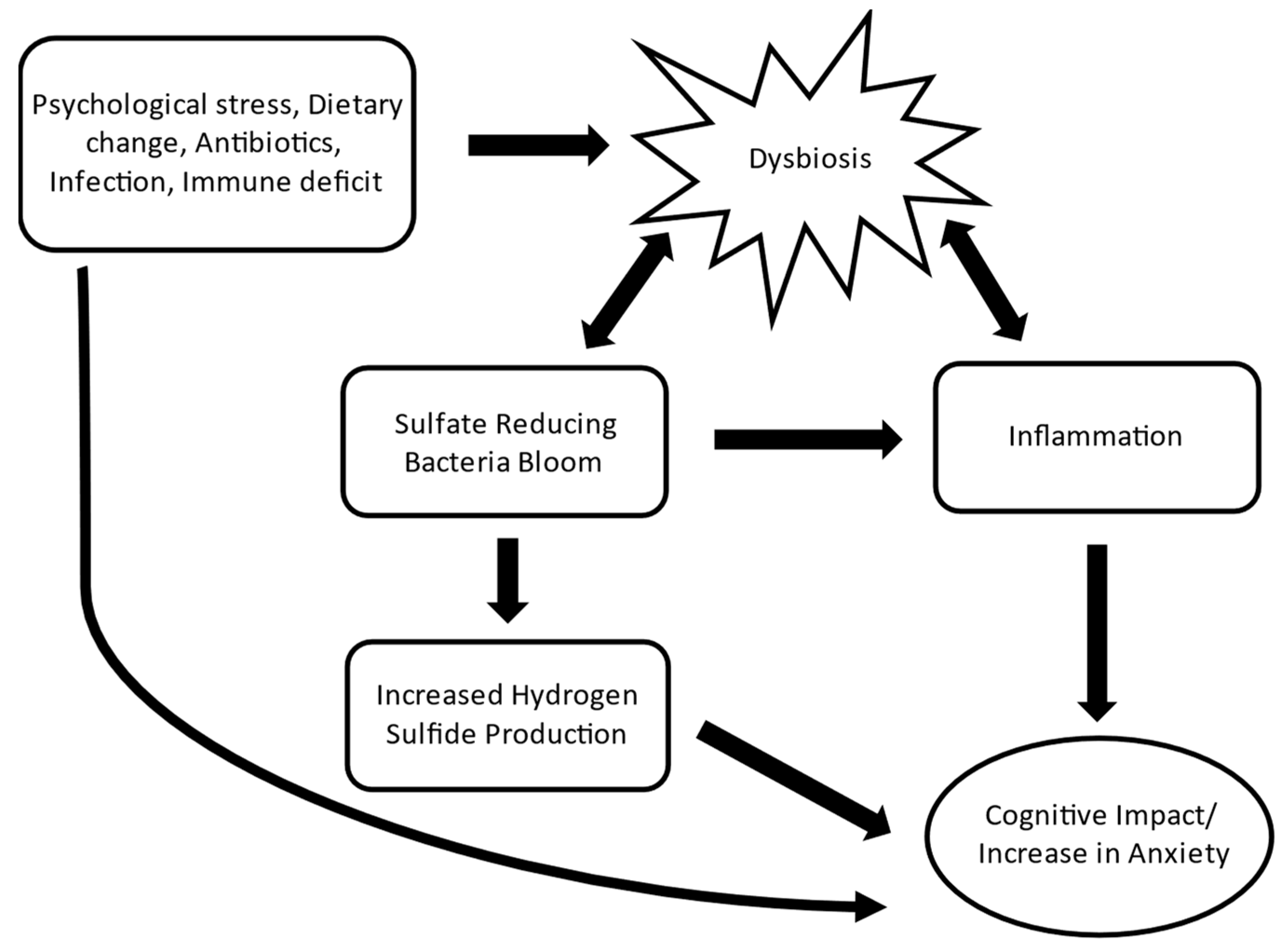 Microorganisms 12 01429 g006