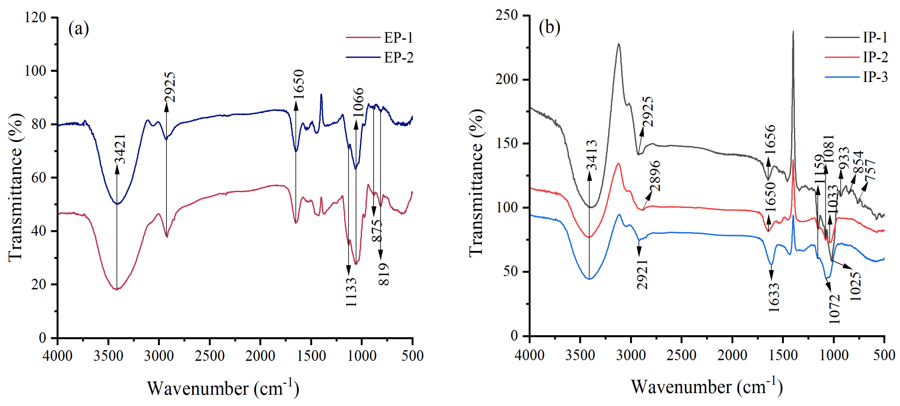Microorganisms 12 01431 g002