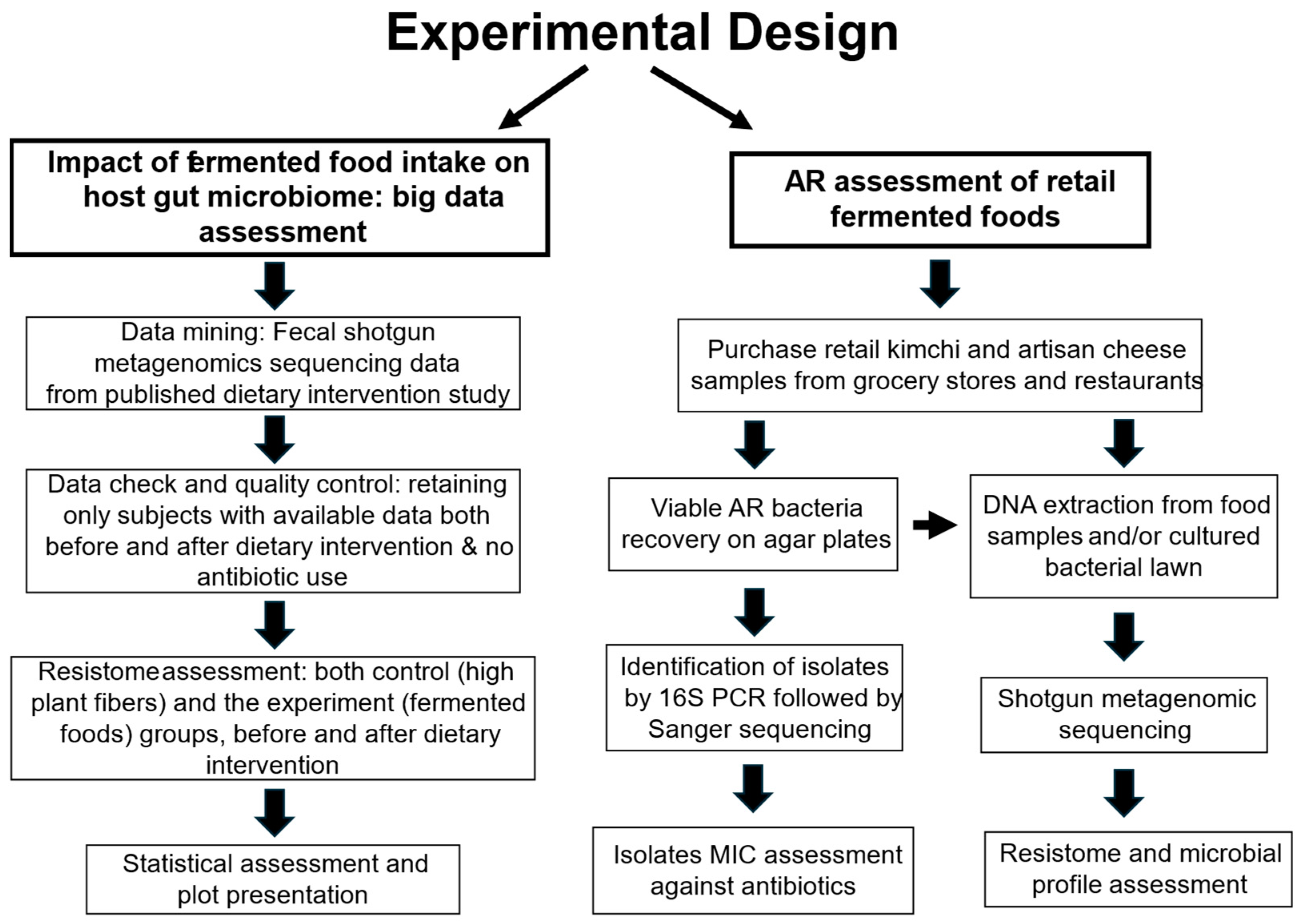 Microorganisms 12 01433 g001 Microorganisms 12 01433 g001