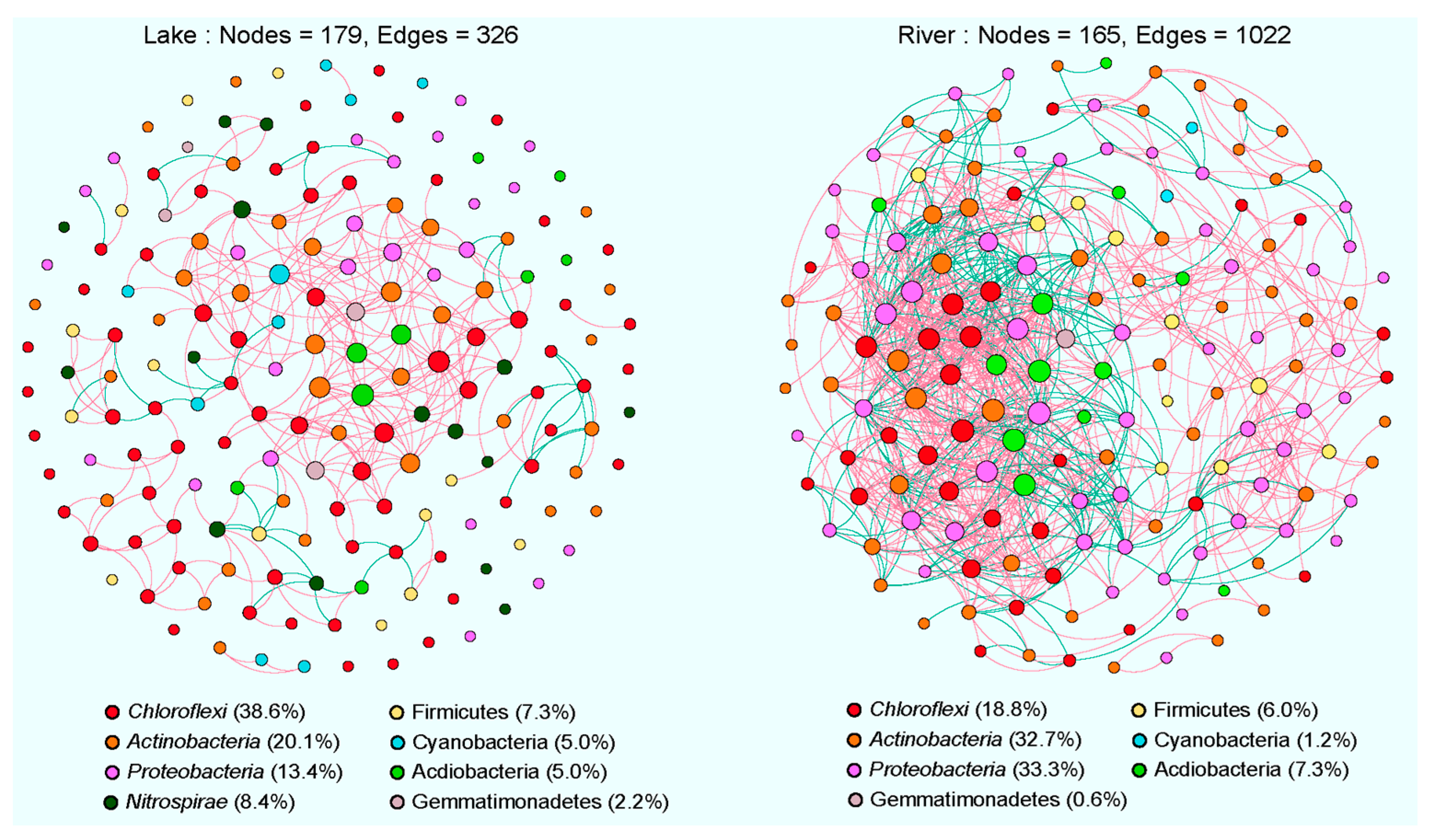 Microorganisms 12 01435 g007 Microorganisms 12 01435 g007