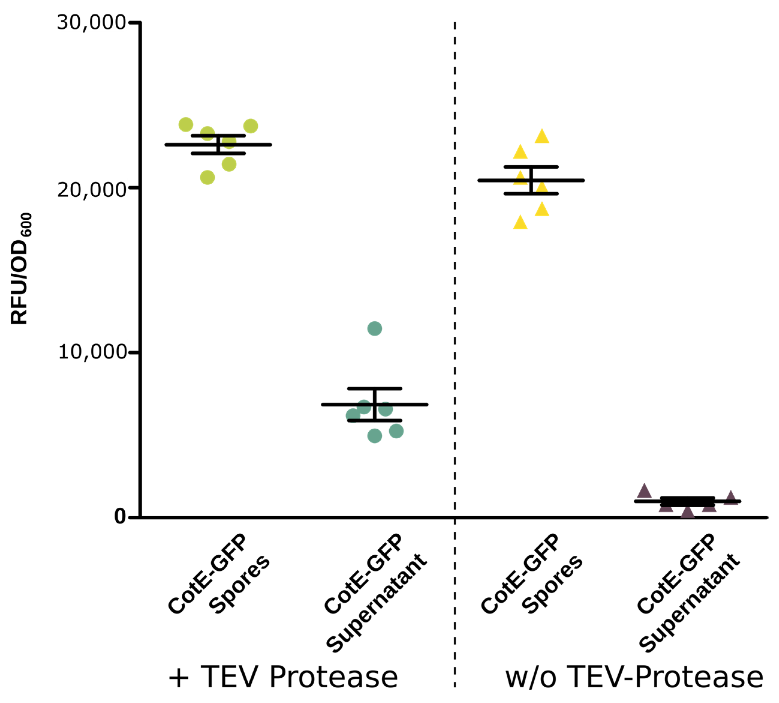 Microorganisms 12 01438 g002