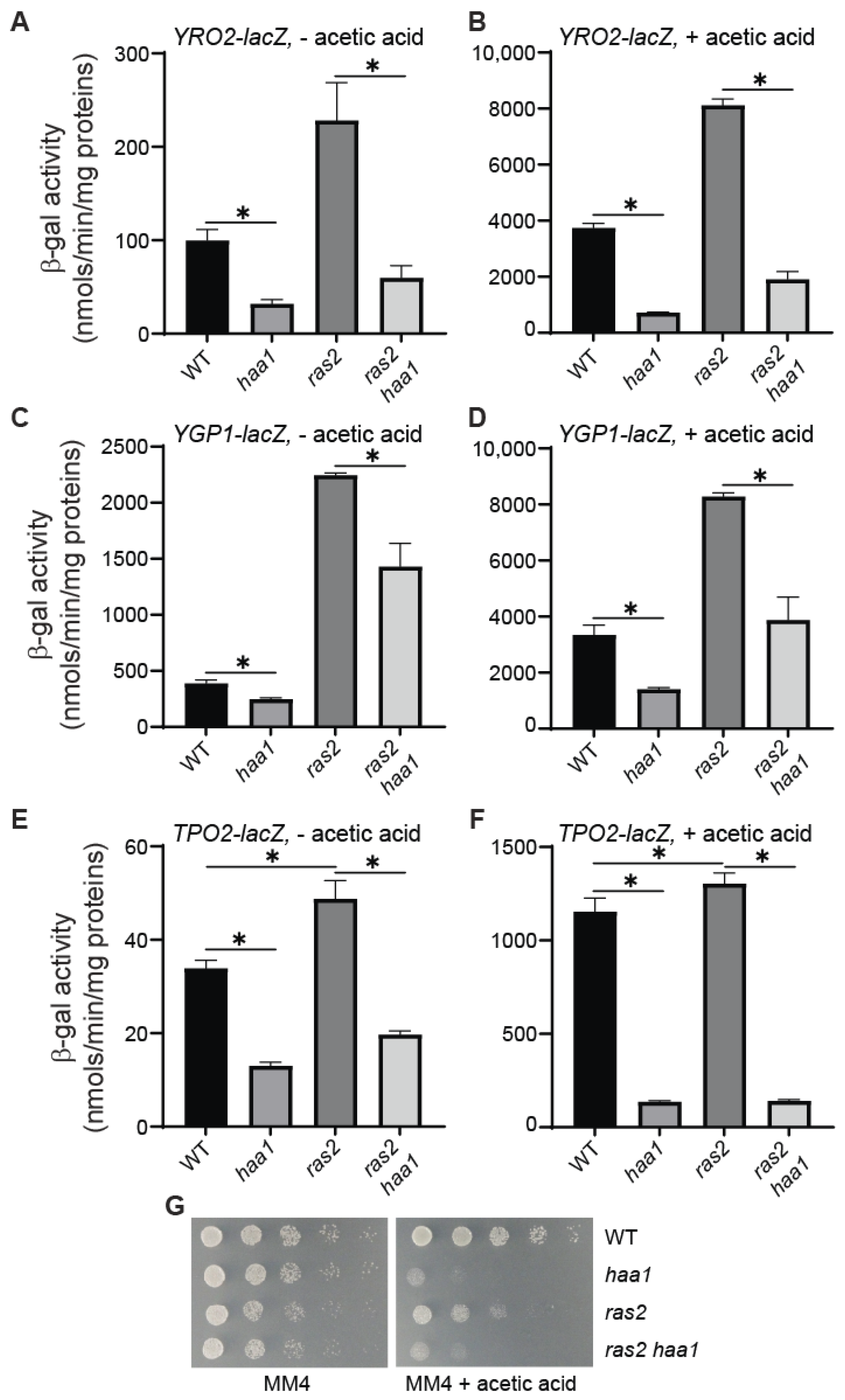 Microorganisms 12 01452 g002 Microorganisms 12 01452 g002
