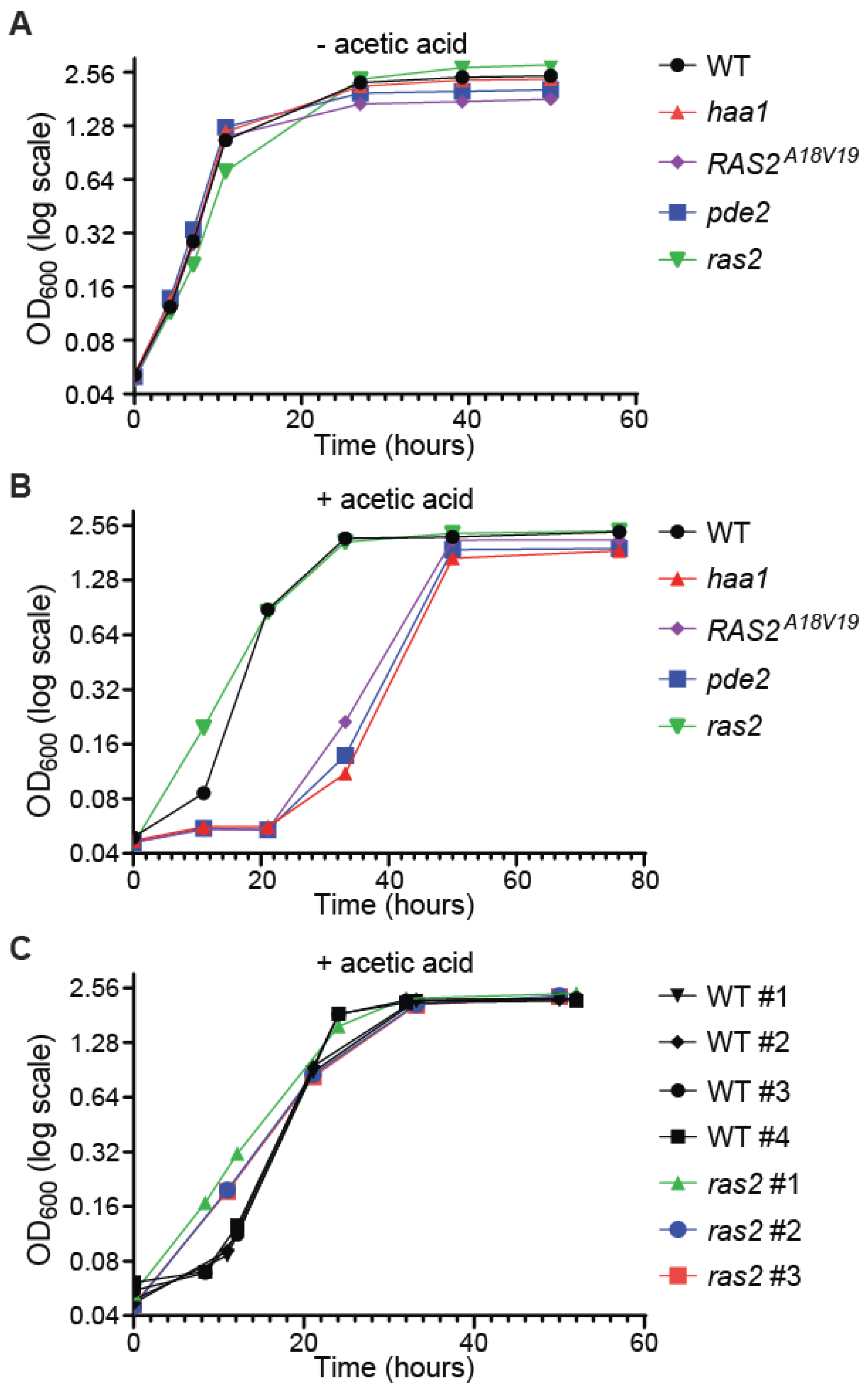 Microorganisms 12 01452 g003 Microorganisms 12 01452 g003