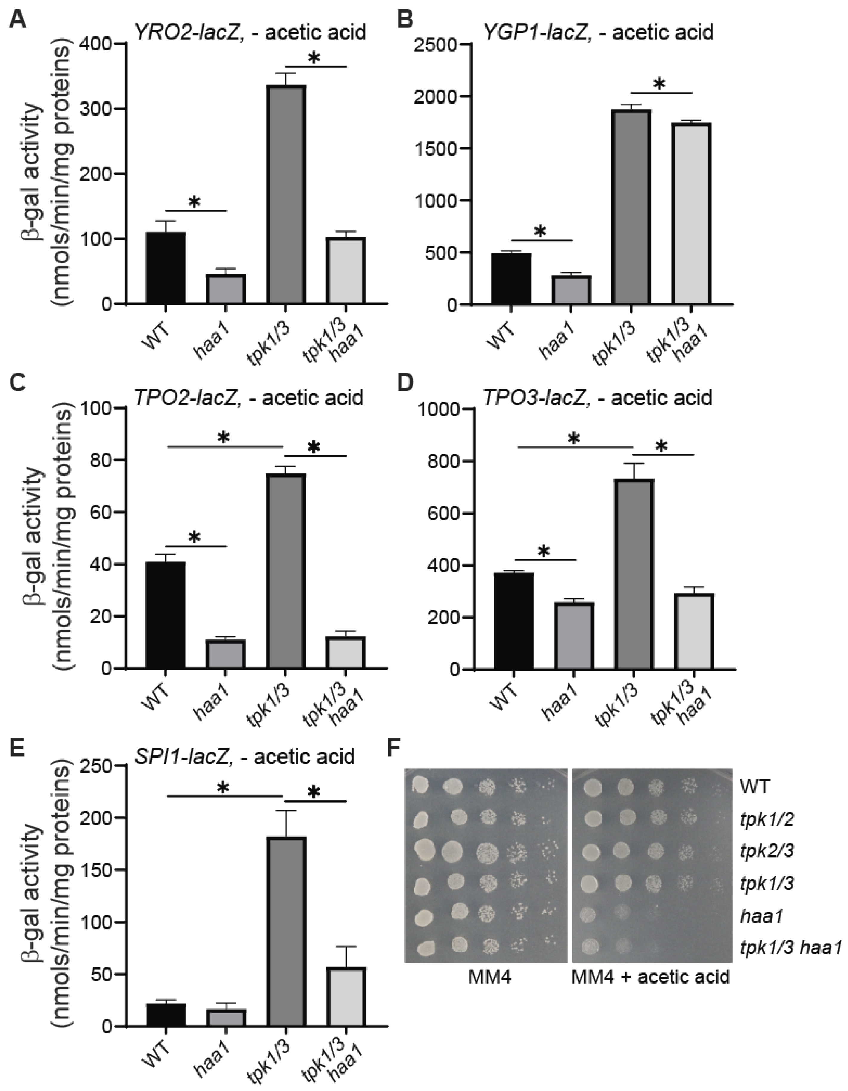 Microorganisms 12 01452 g005 Microorganisms 12 01452 g005