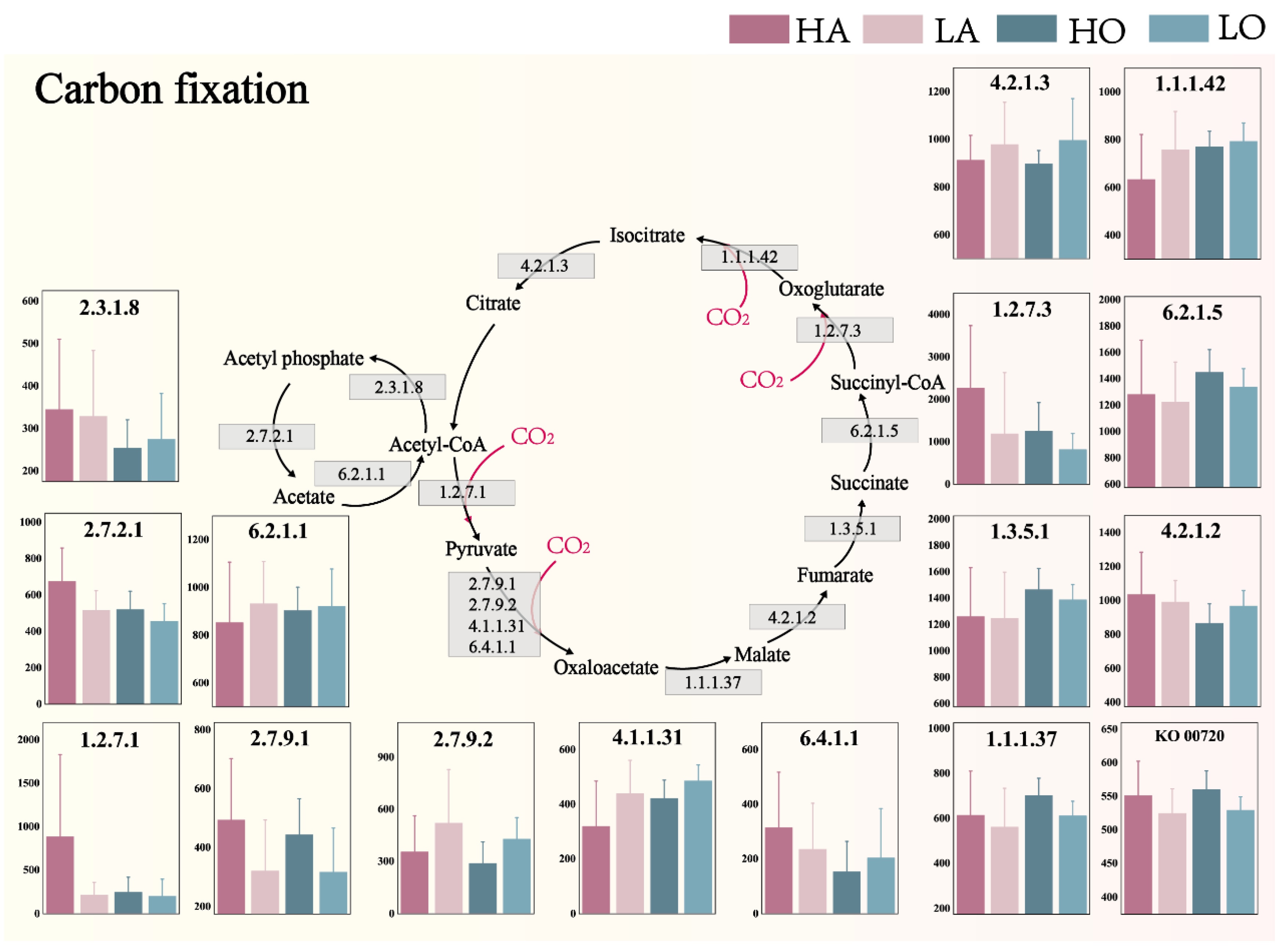 Microorganisms 12 01454 g004