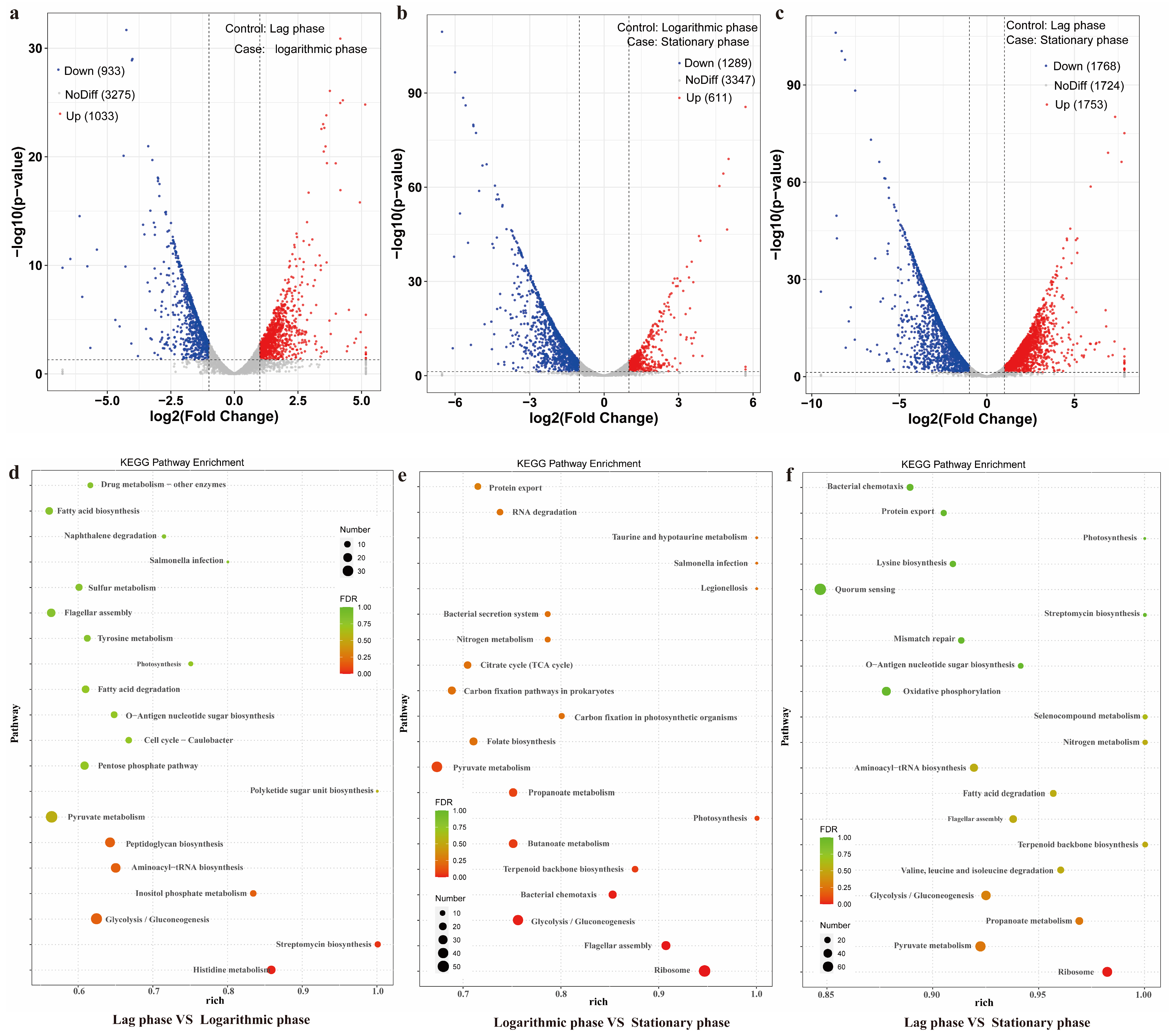 Microorganisms 12 01457 g002