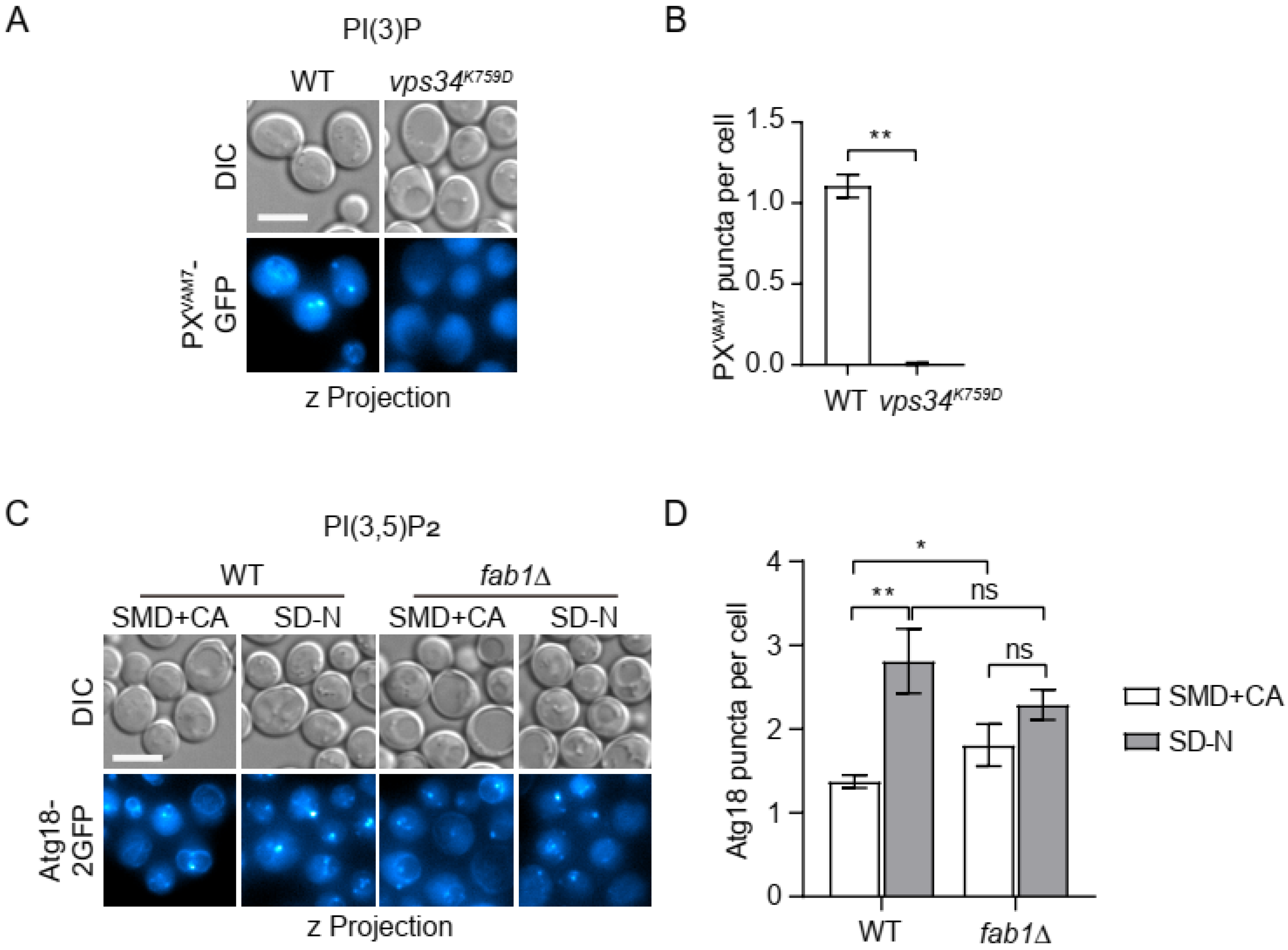 Microorganisms 12 01458 g003 Microorganisms 12 01458 g003