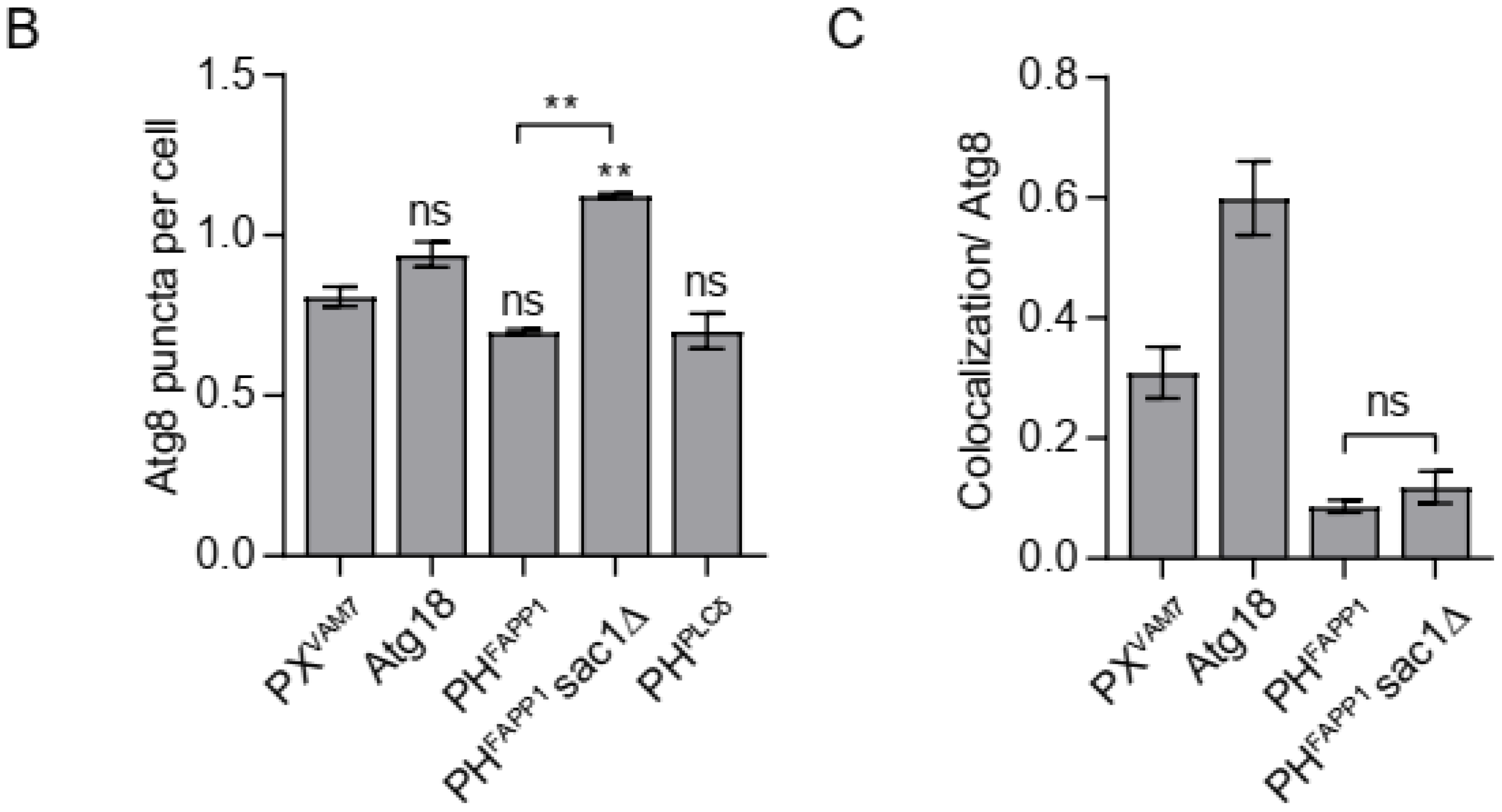 Microorganisms 12 01458 g005b Microorganisms 12 01458 g005b
