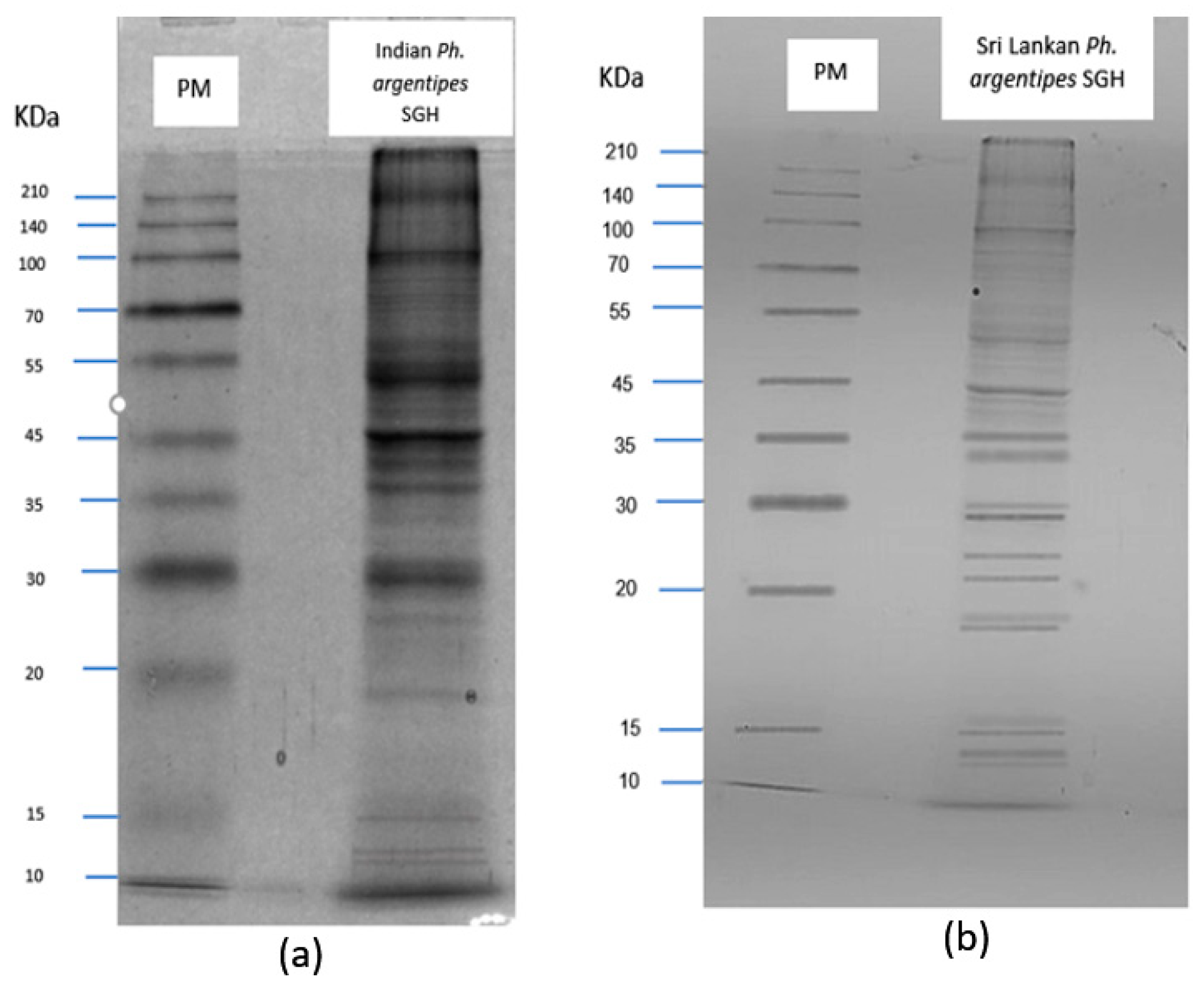 Microorganisms 12 01459 g006