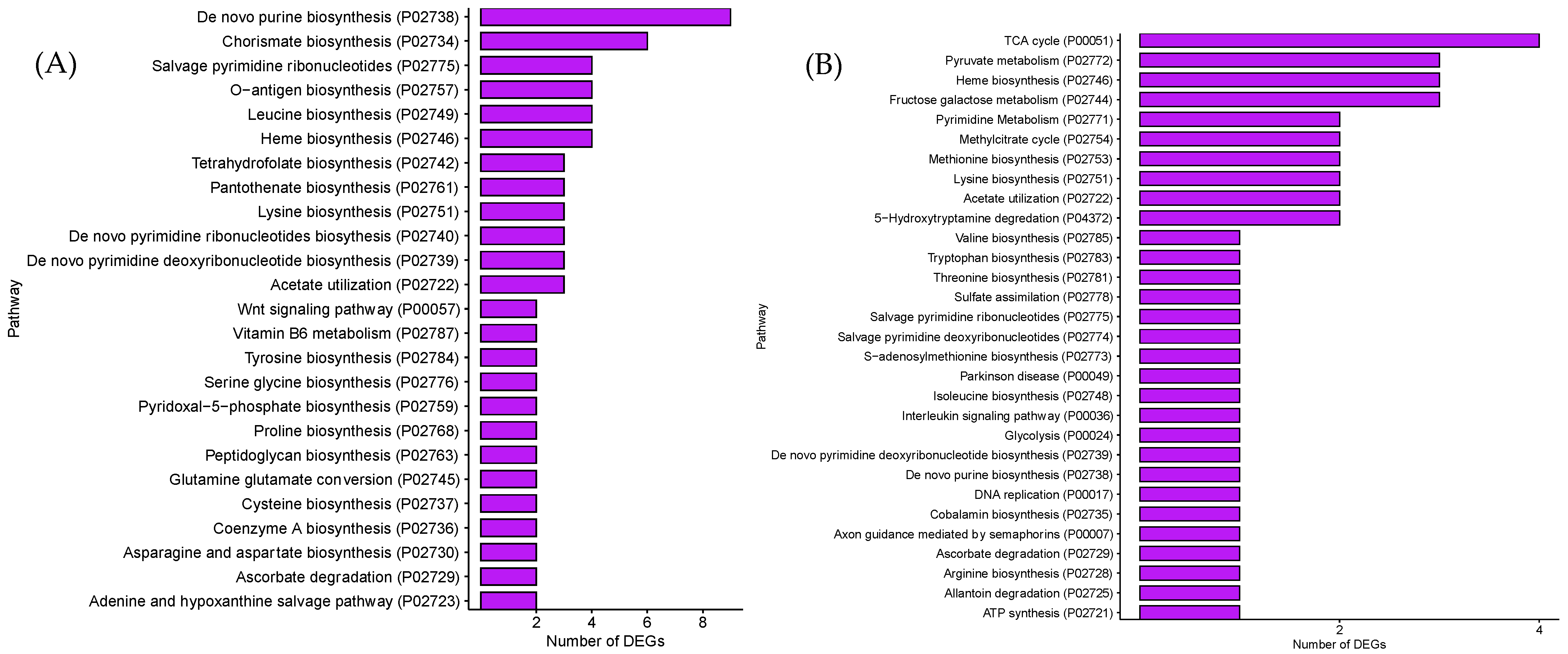 Microorganisms 12 01461 g004