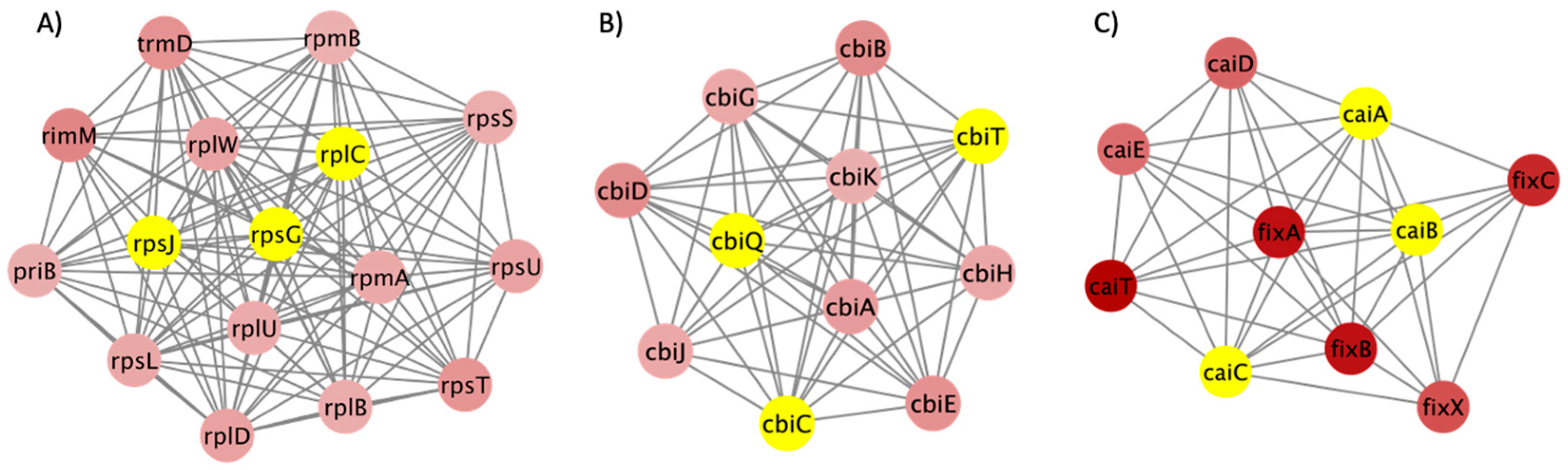 Microorganisms 12 01461 g006