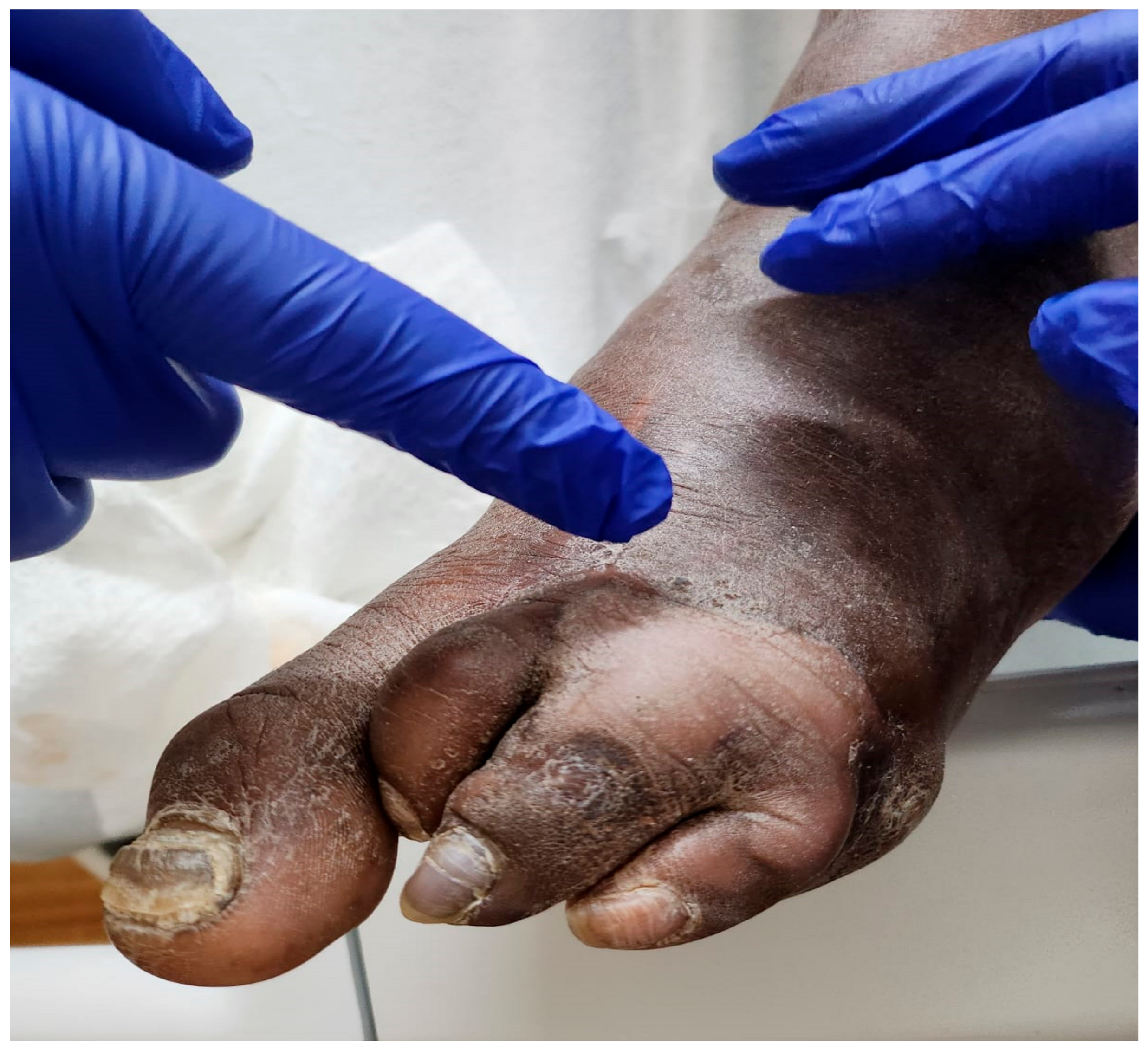 Microorganisms 12 01464 g002