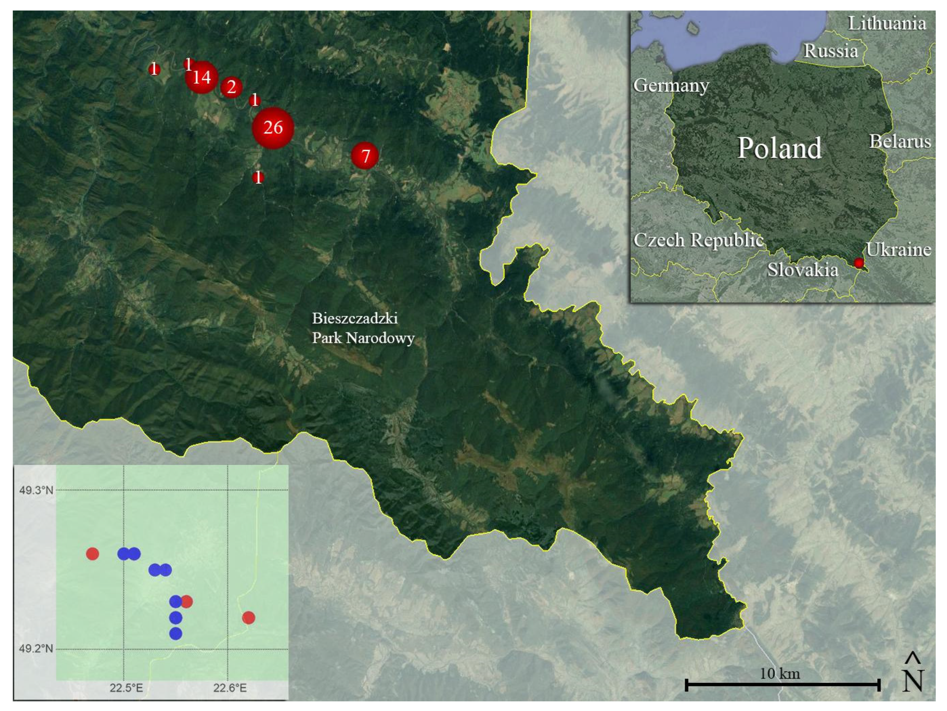 Microorganisms 12 01467 g002