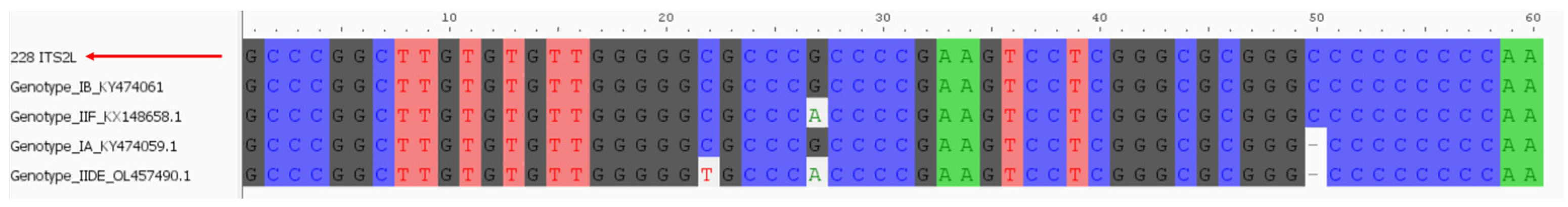 Microorganisms 12 01467 g005