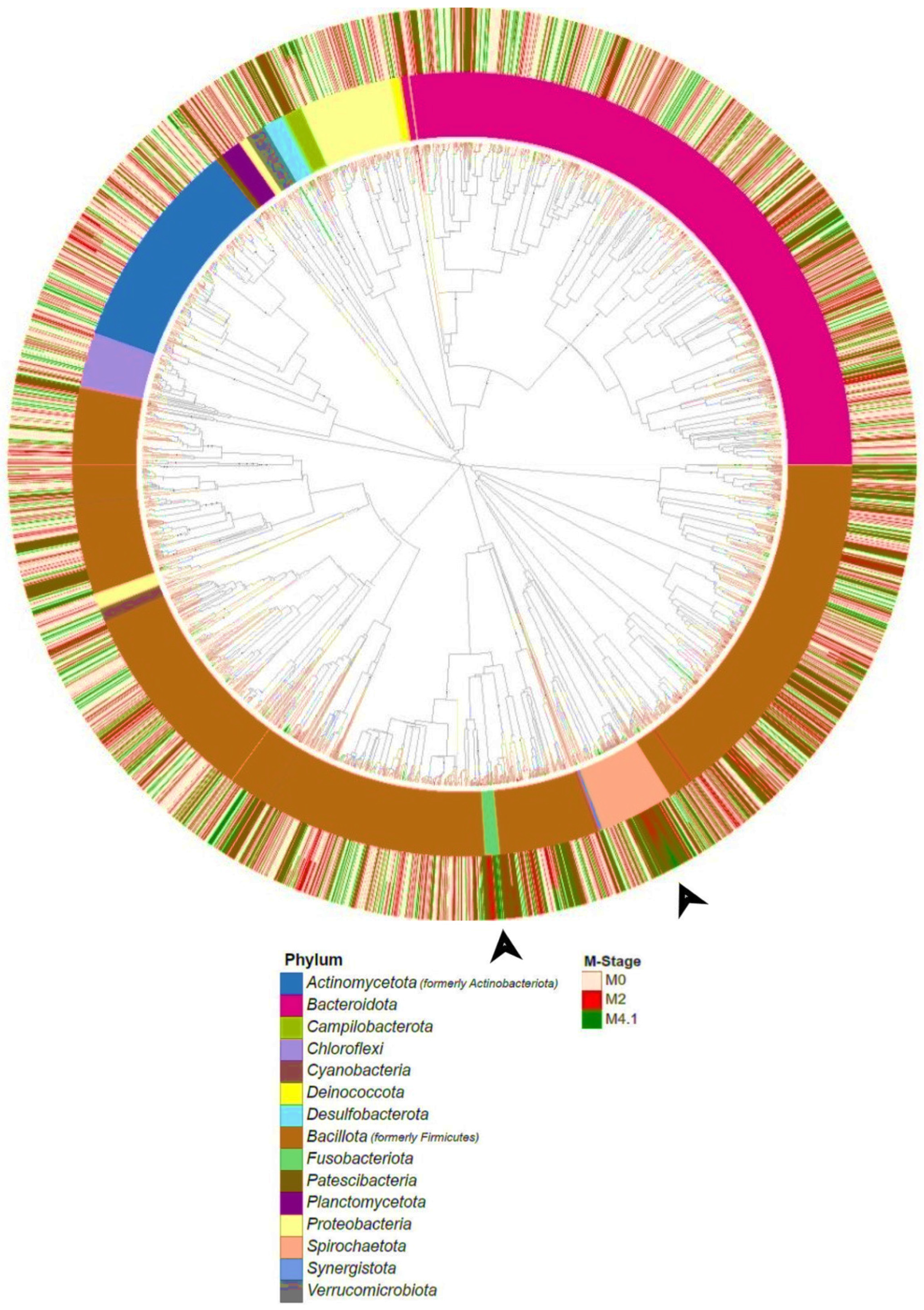 Microorganisms 12 01470 g005