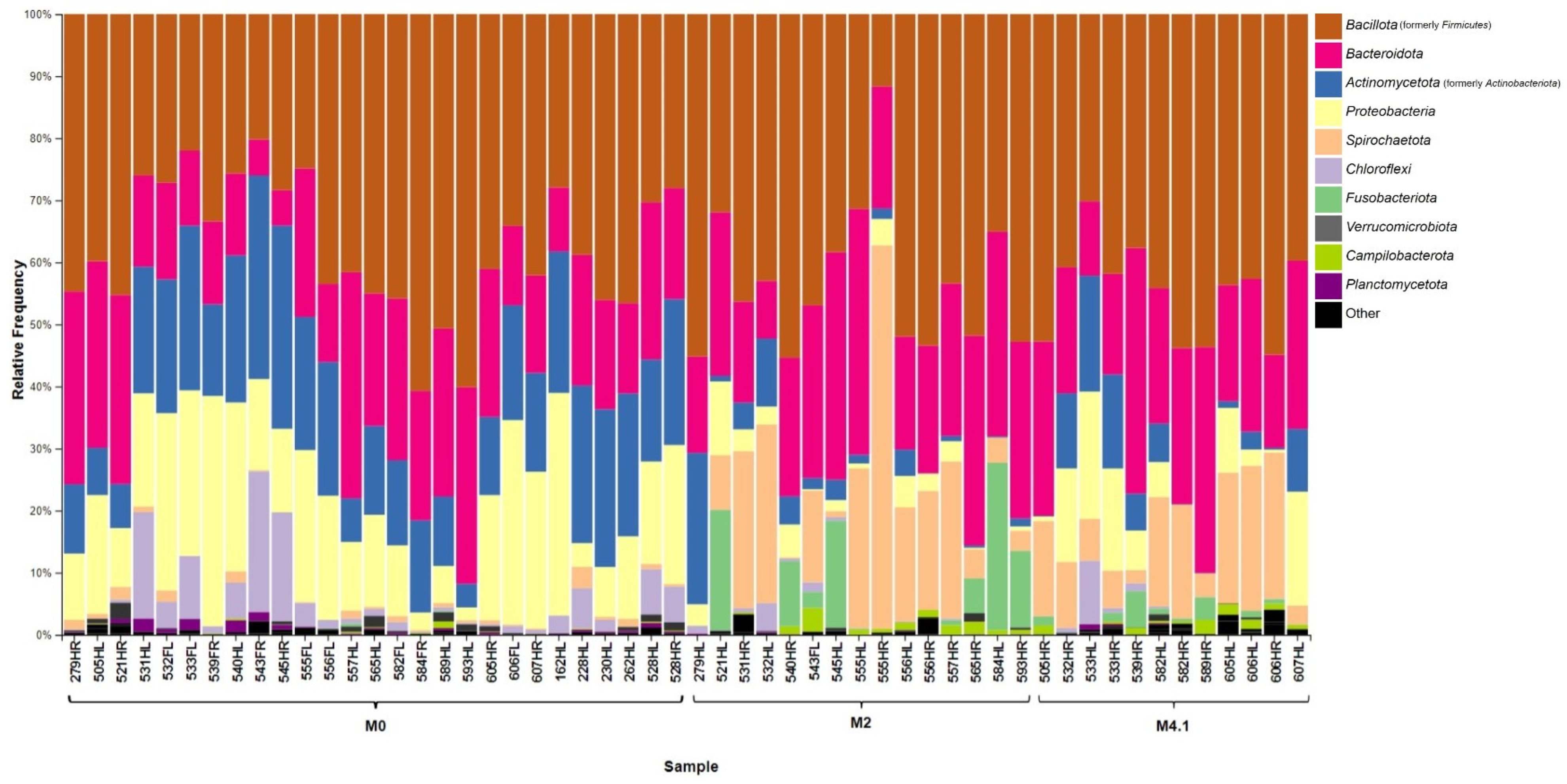 Microorganisms 12 01470 g006
