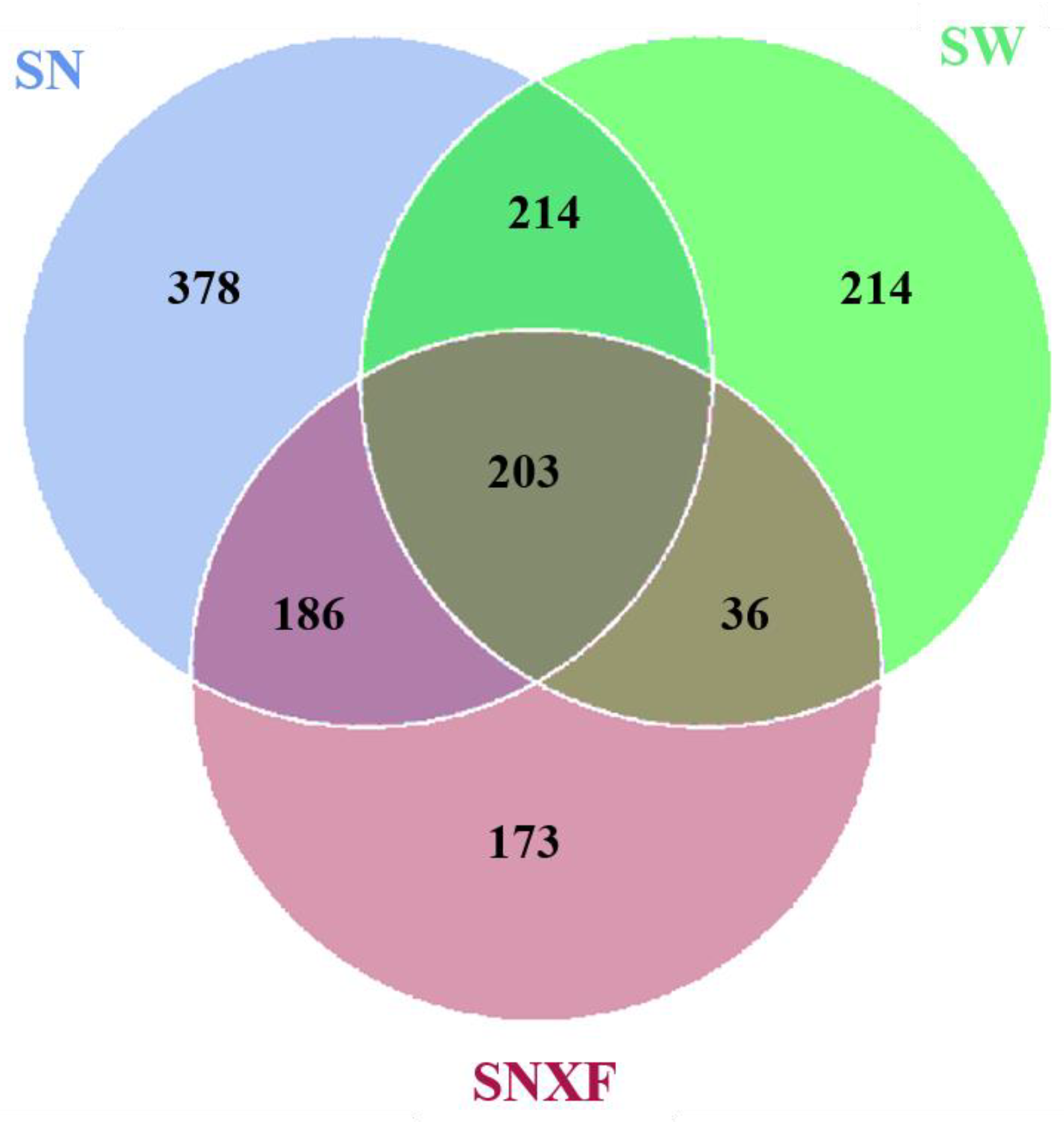 Microorganisms 12 01472 g006