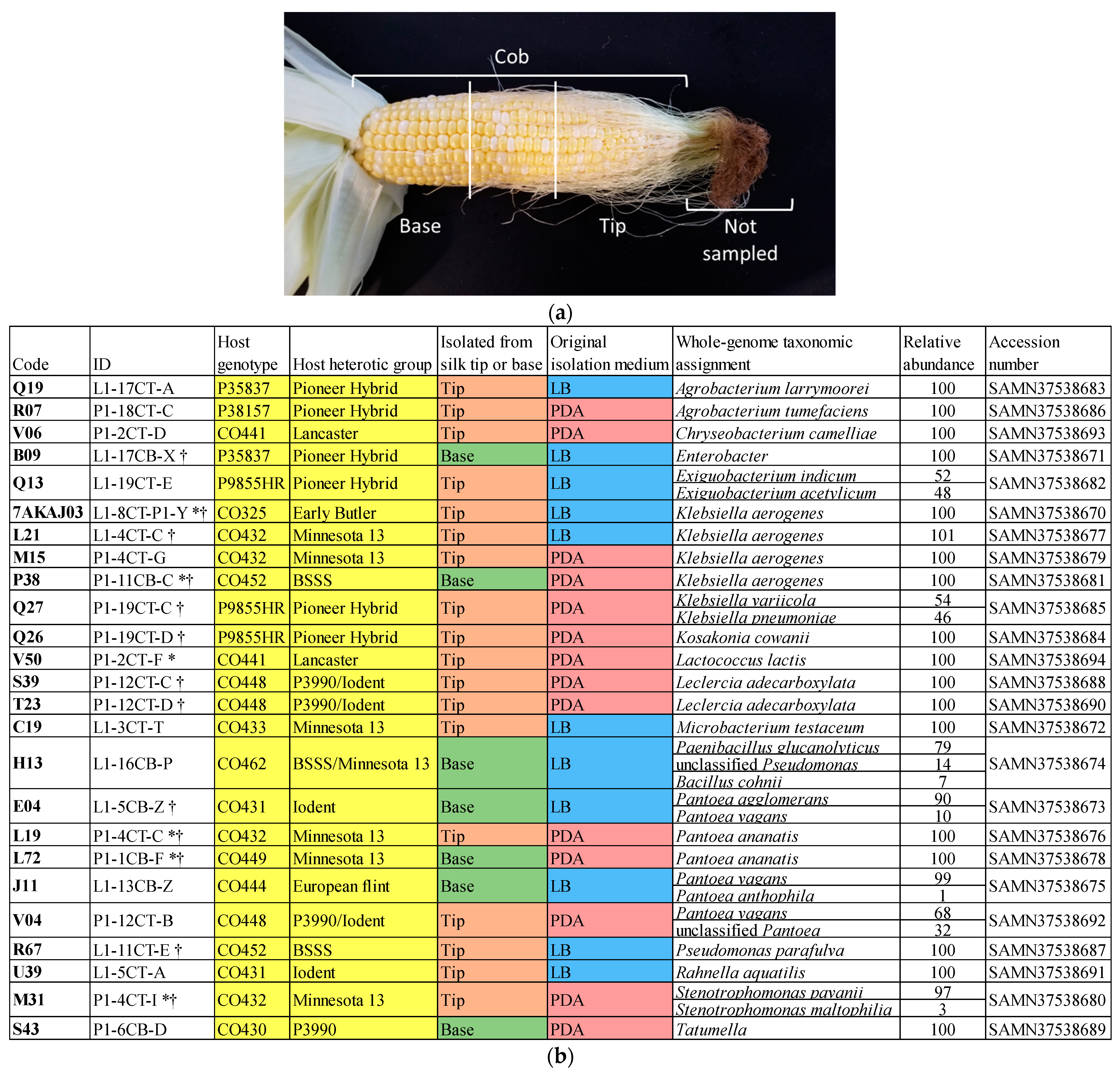 Microorganisms 12 01473 g001
