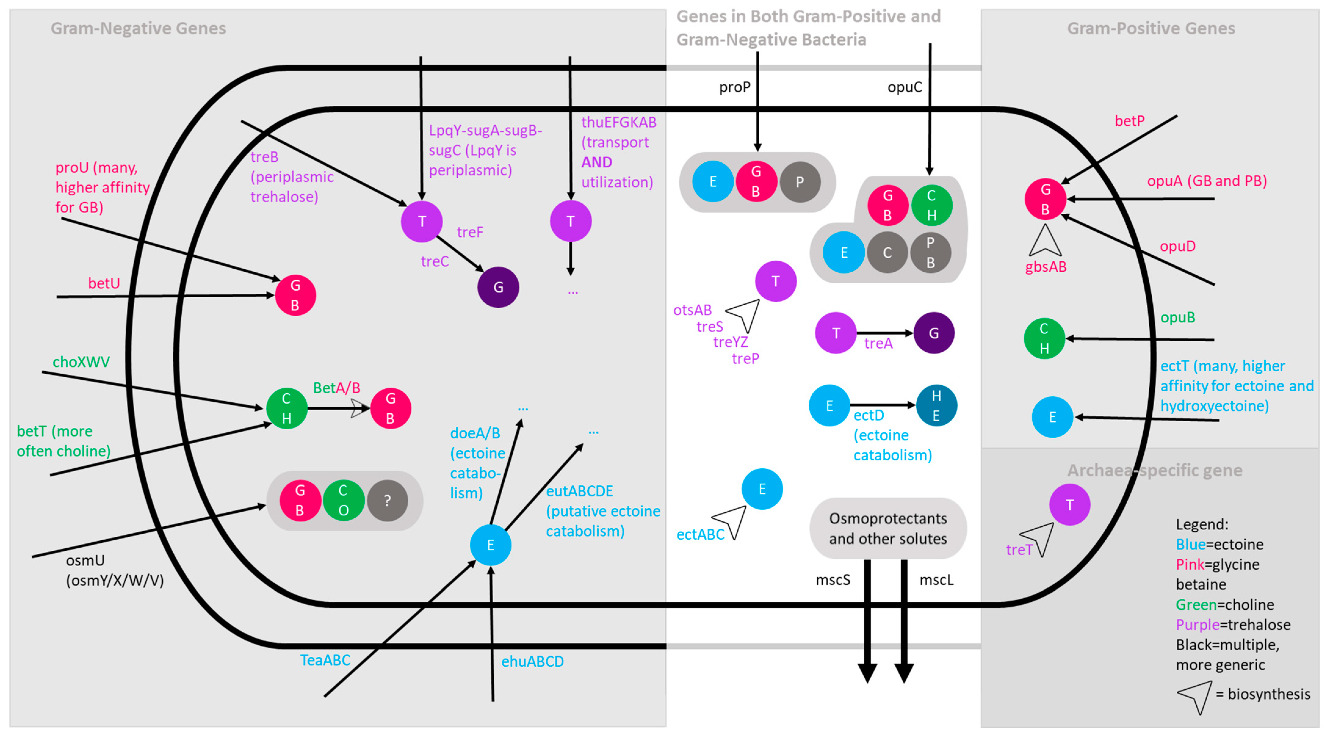 Microorganisms 12 01473 g002