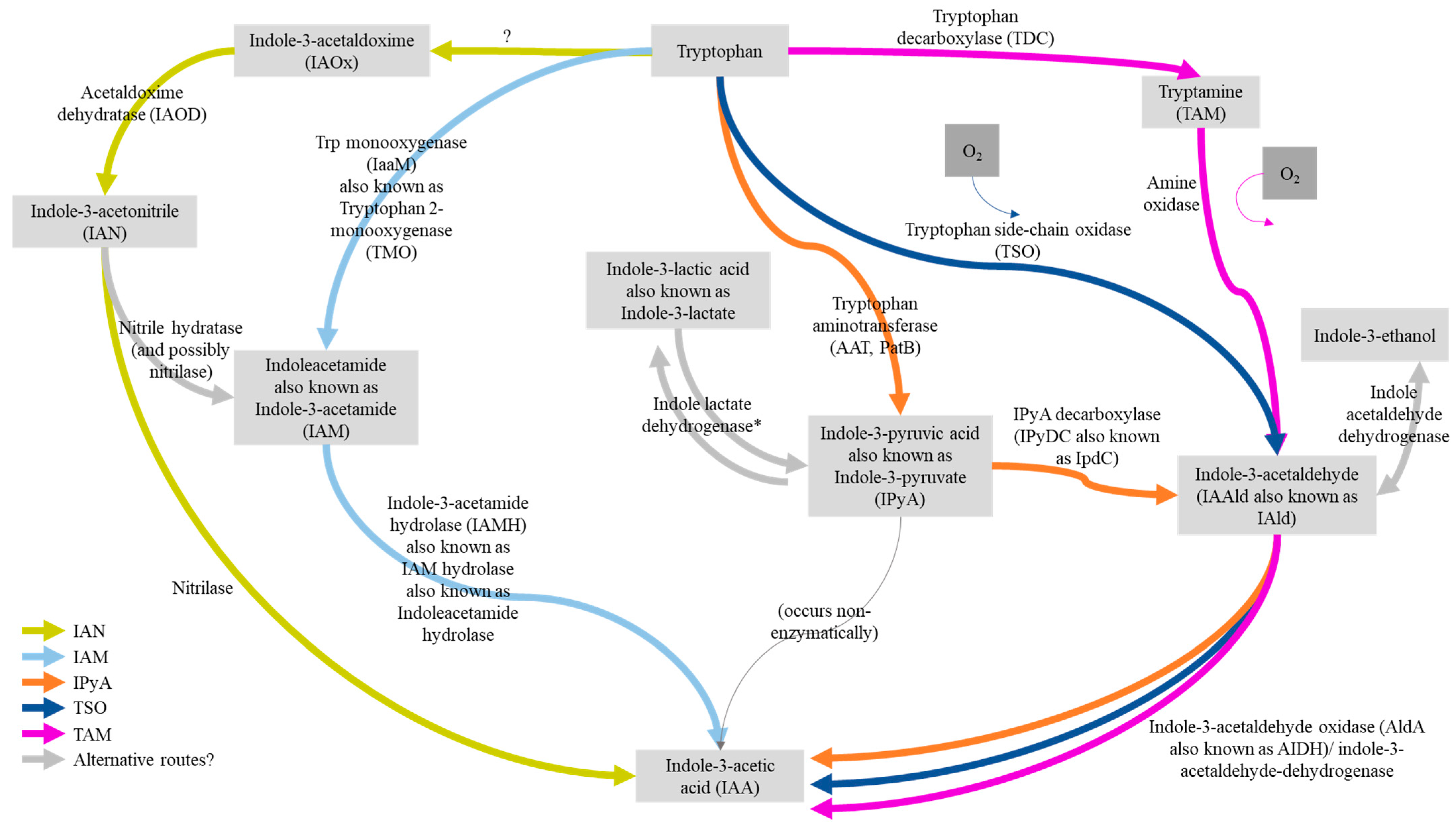 Microorganisms 12 01473 g004