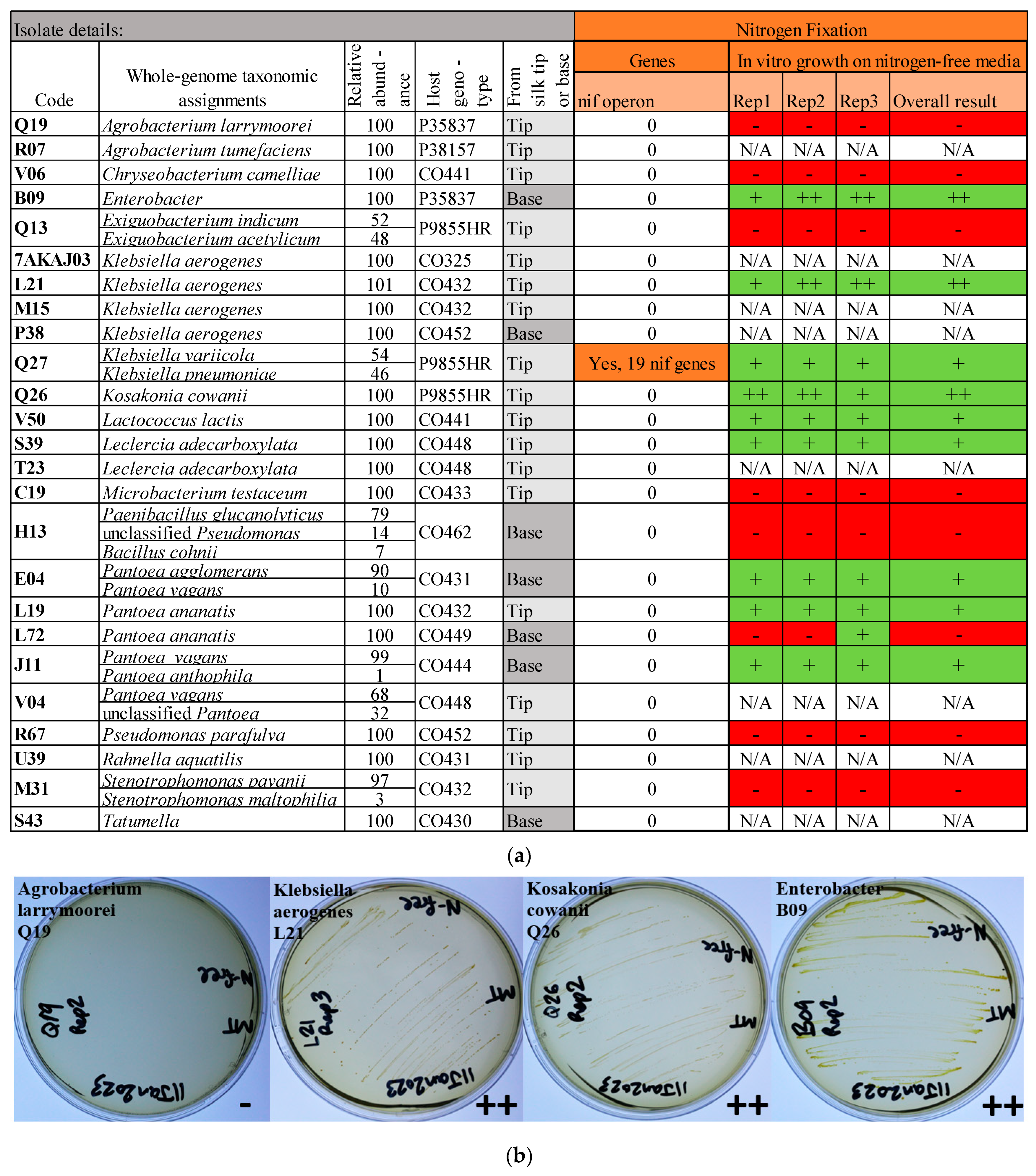 Microorganisms 12 01473 g006