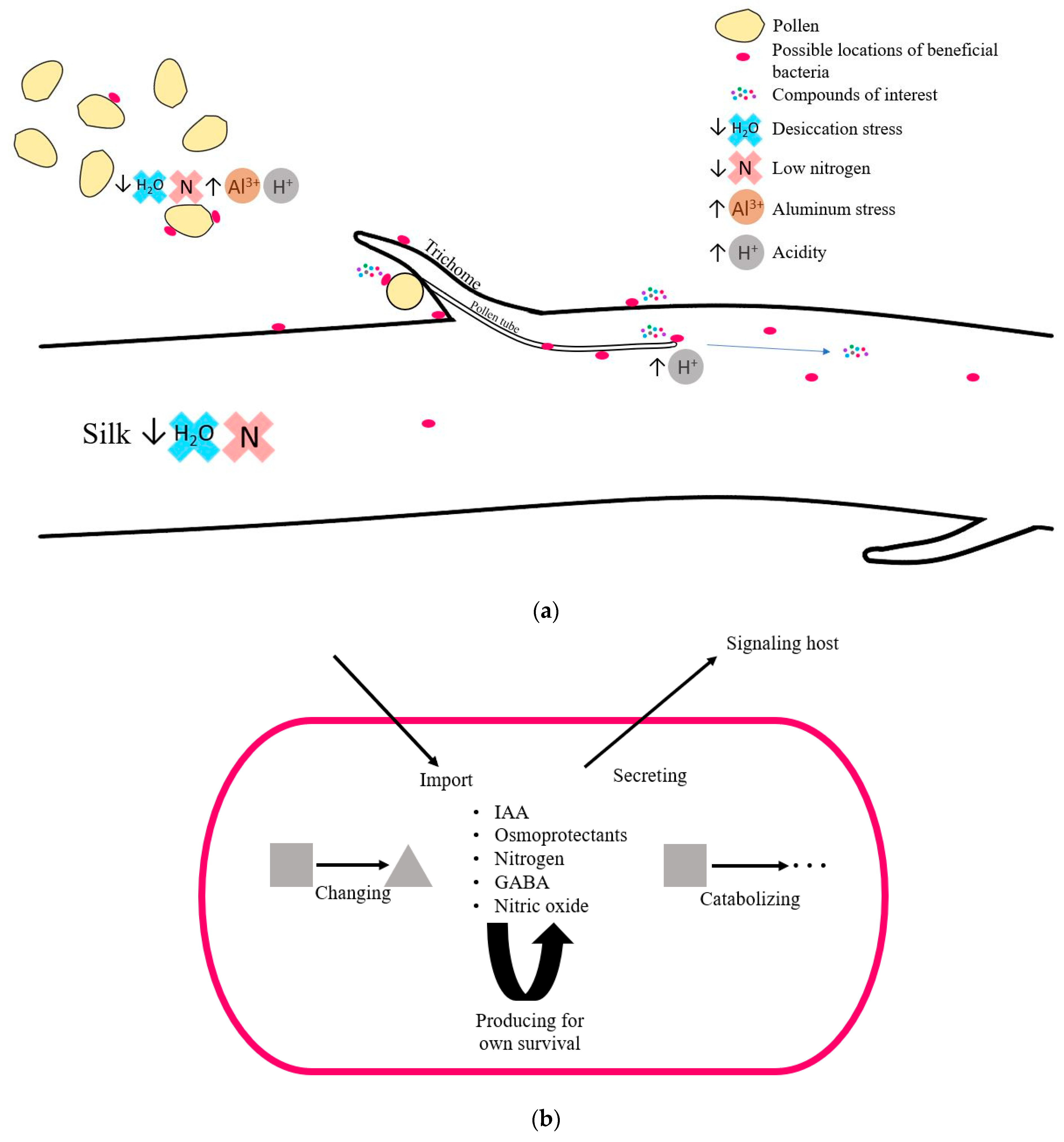 Microorganisms 12 01473 g009