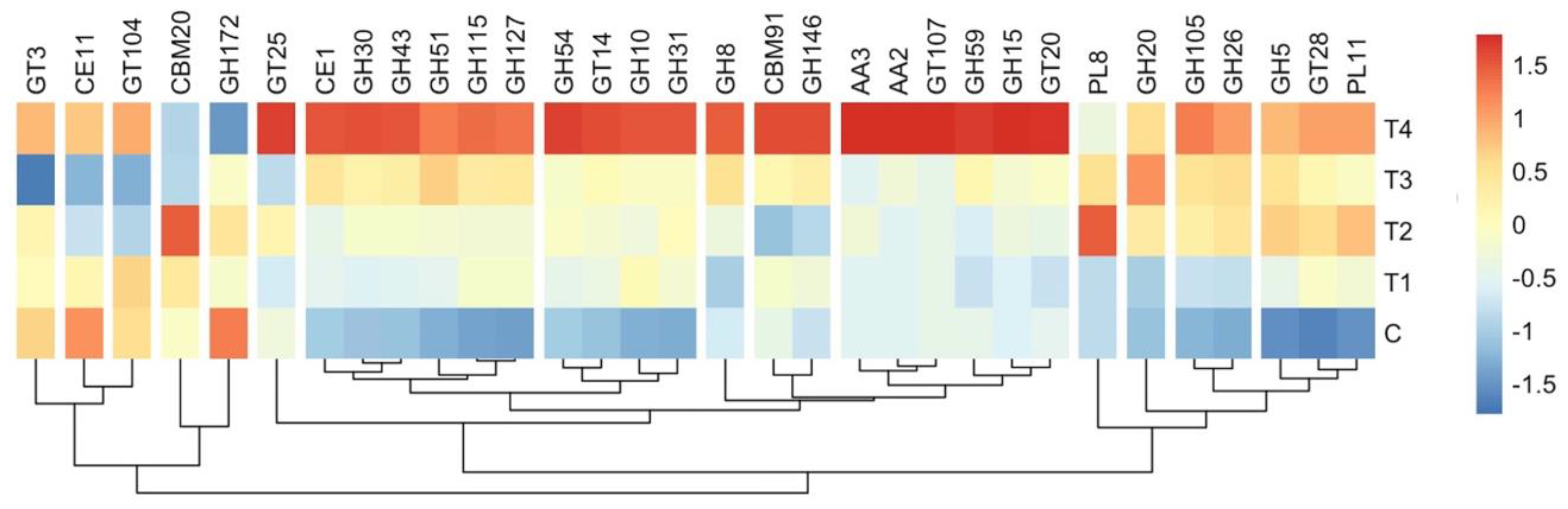 Microorganisms 12 01475 g006