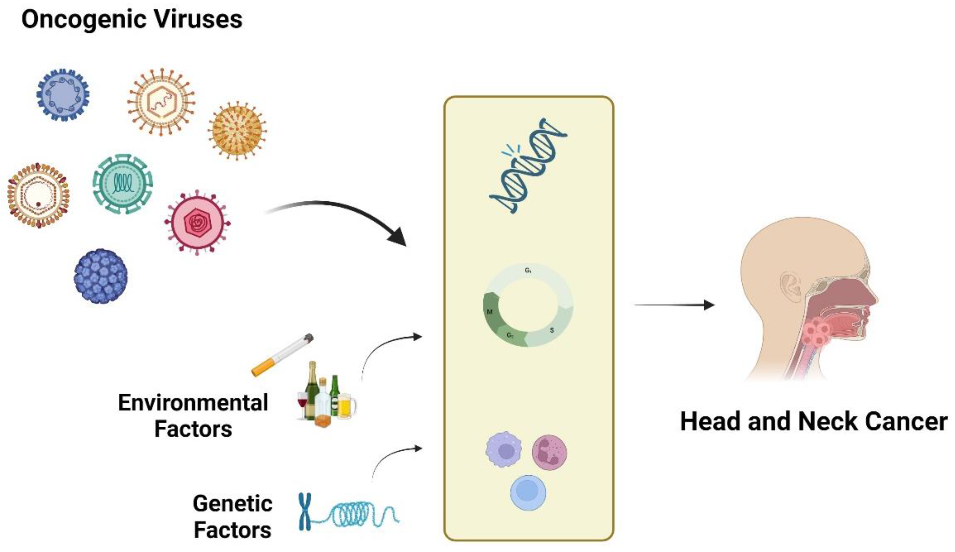 Microorganisms 12 01482 g001
