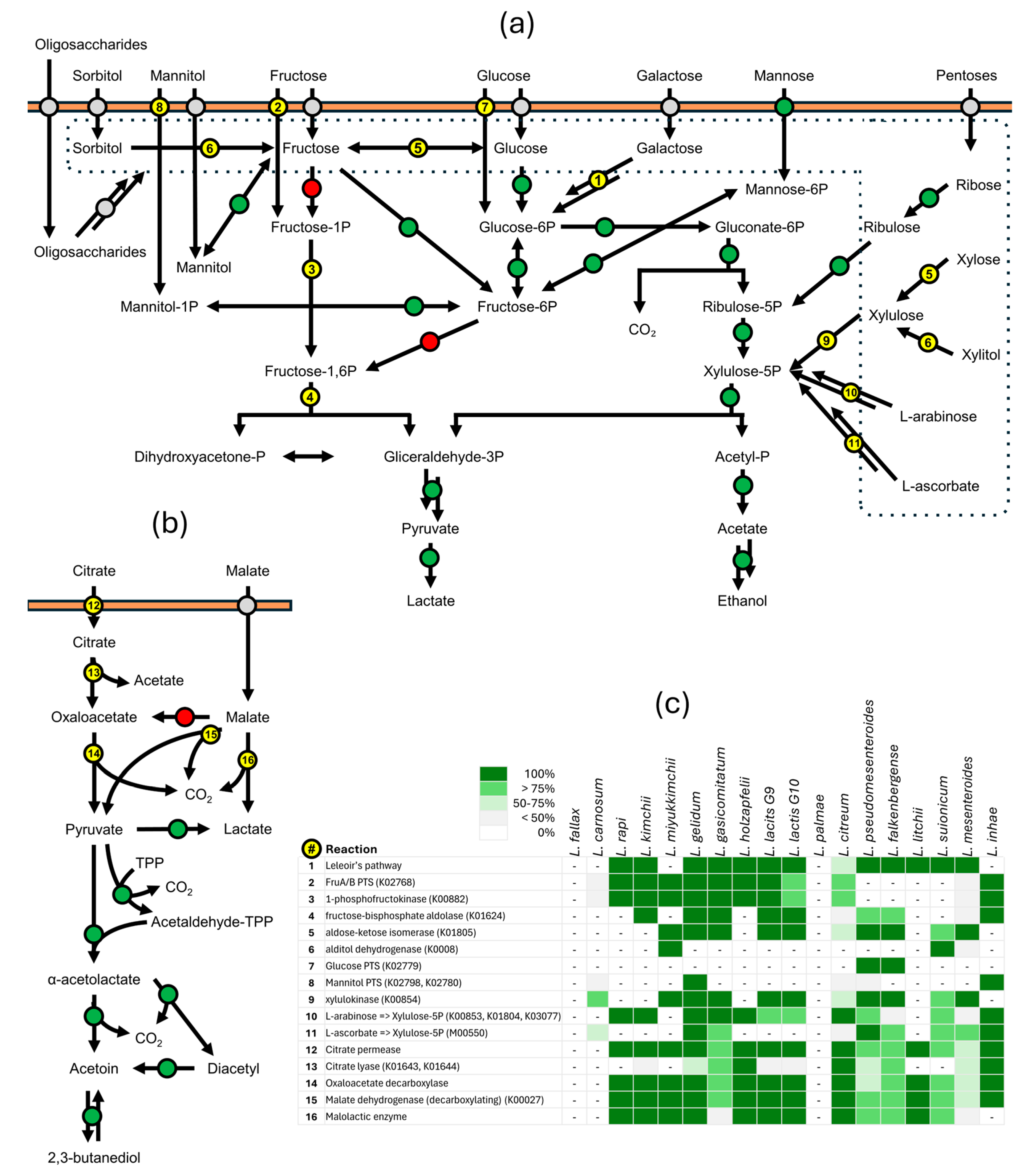 Microorganisms 12 01487 g005