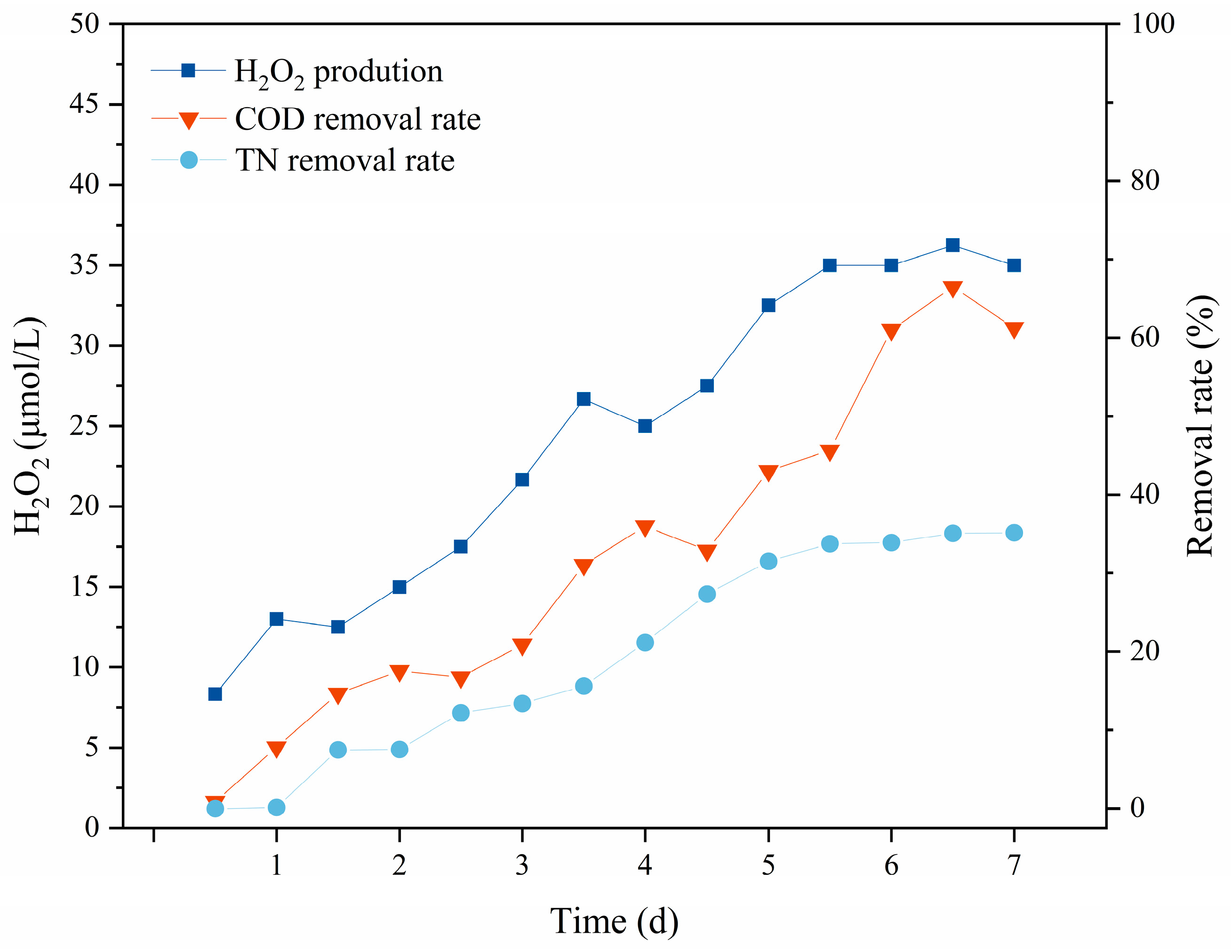 Microorganisms 12 01488 g005