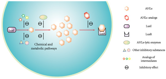 Cyanobacterial Bloom Formation by Enhanced Ecological Cyanobacterial Bloom Formation by Enhanced Ecological