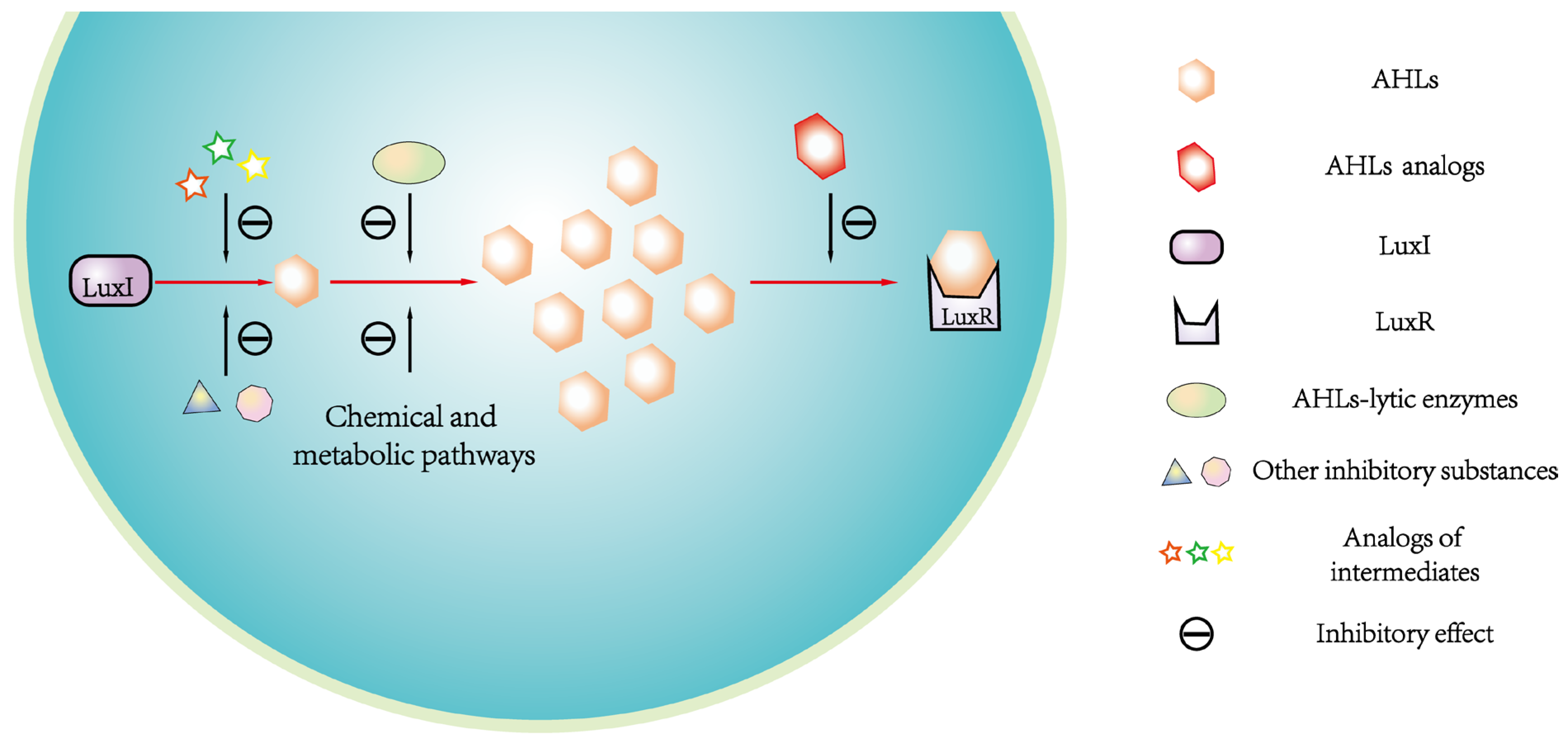 Microorganisms 12 01489 g004
