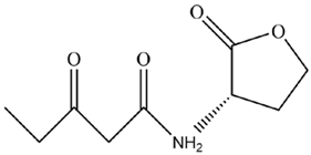 Microorganisms 12 01489 i001