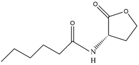 Microorganisms 12 01489 i002