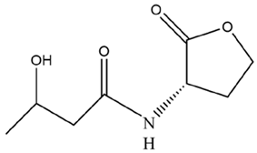 Microorganisms 12 01489 i003